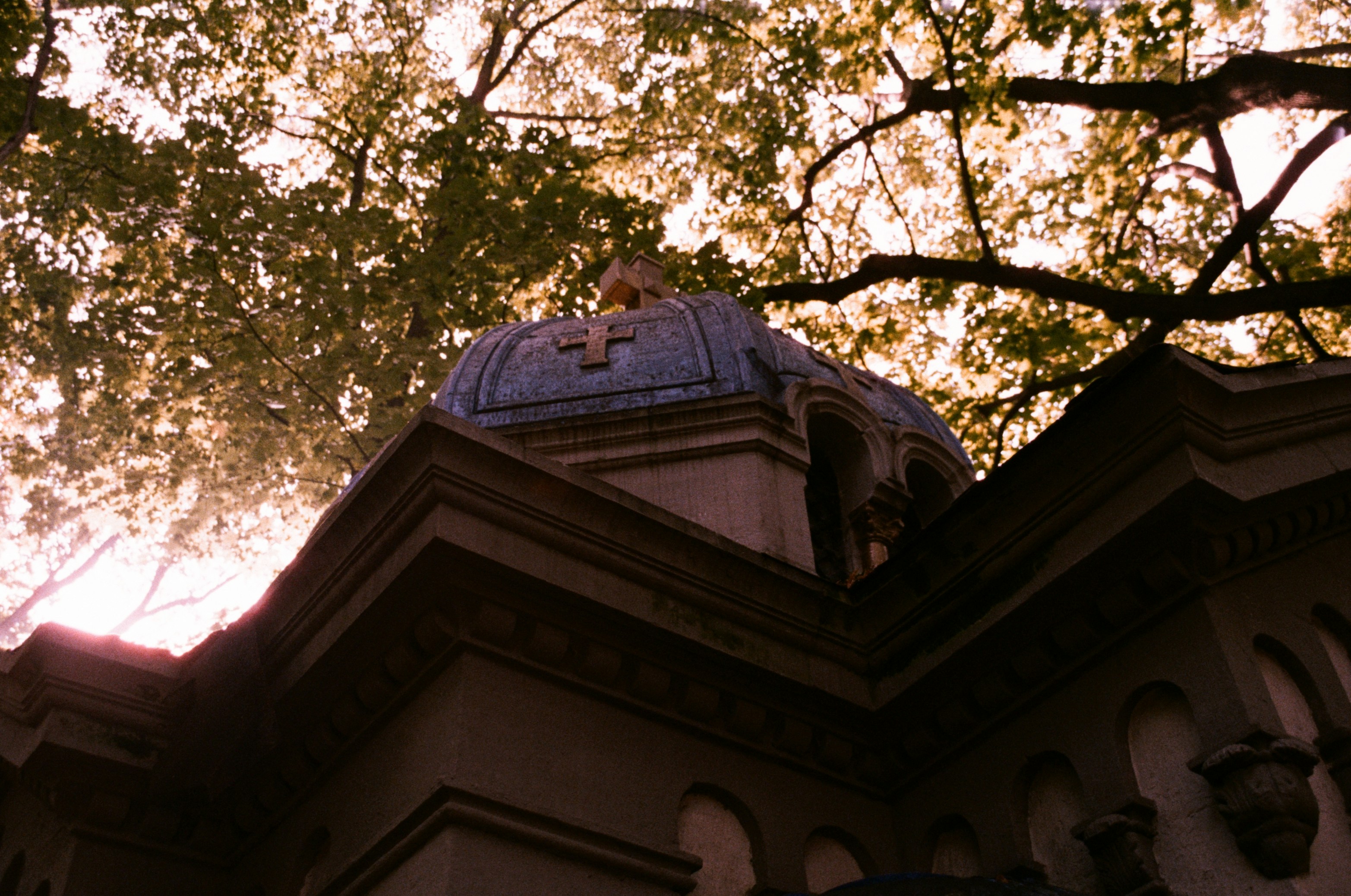 Photo by clupeonella