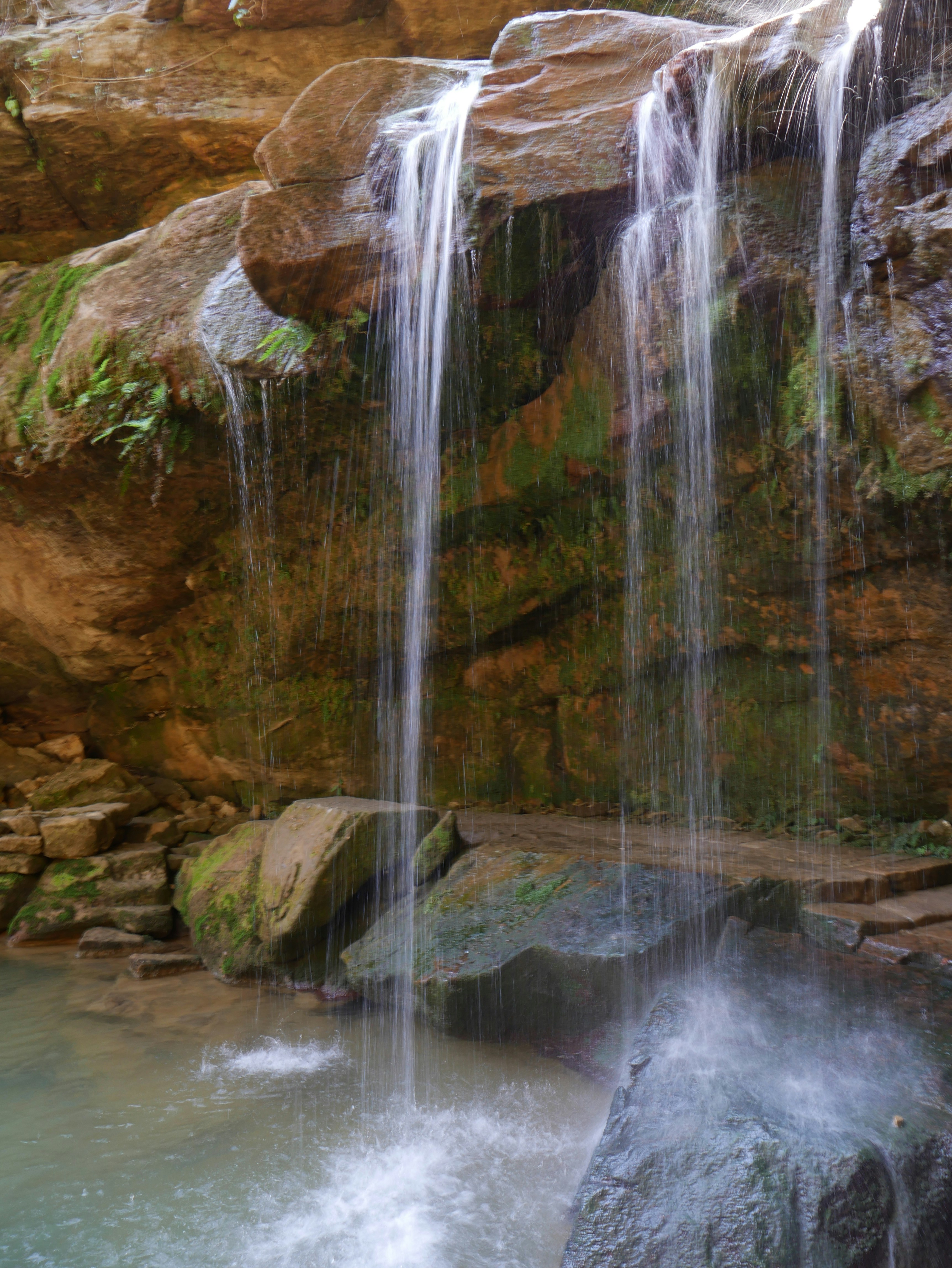 Photo by saxenashubhangi