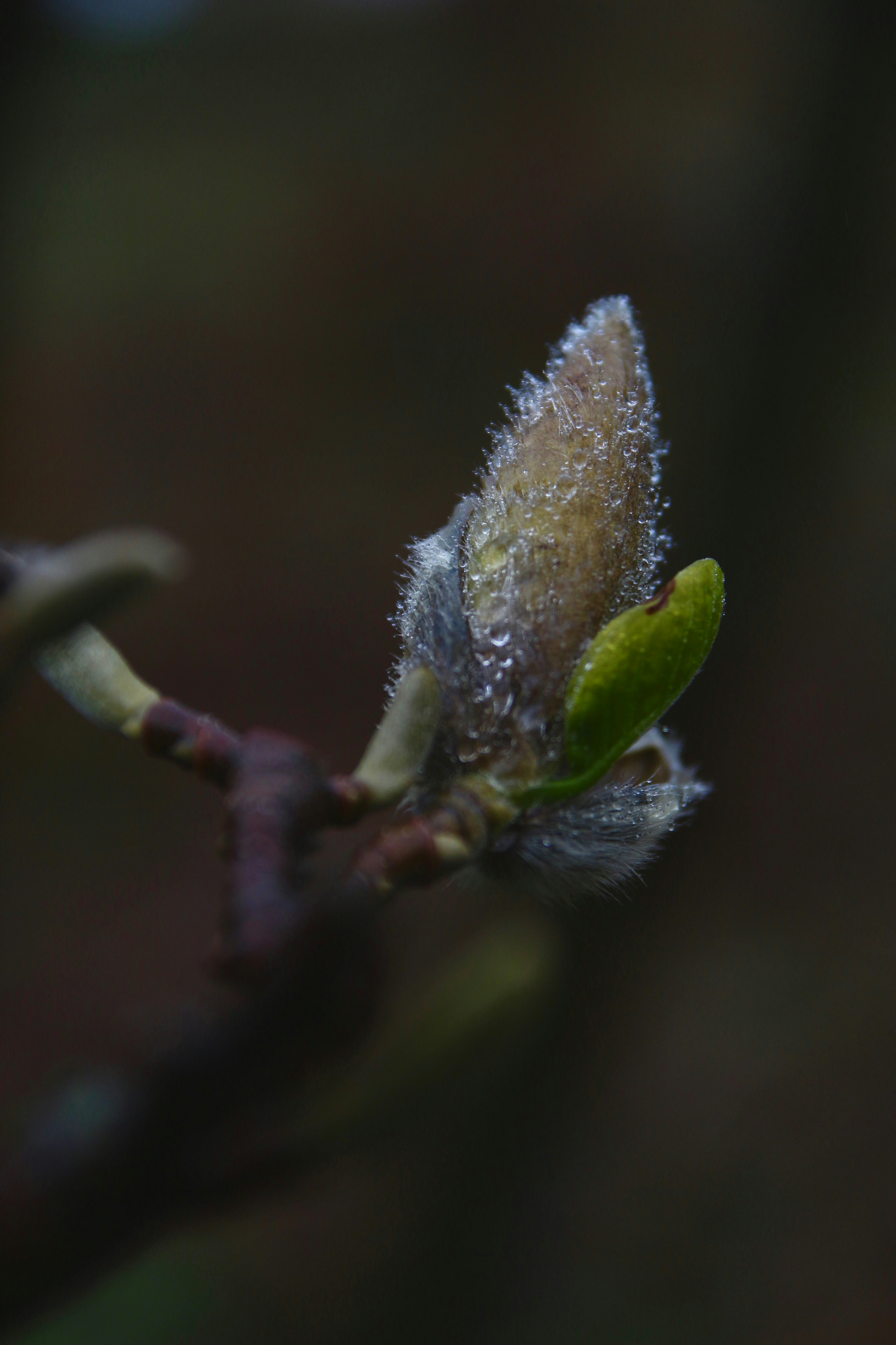 Photo by suleymanovae