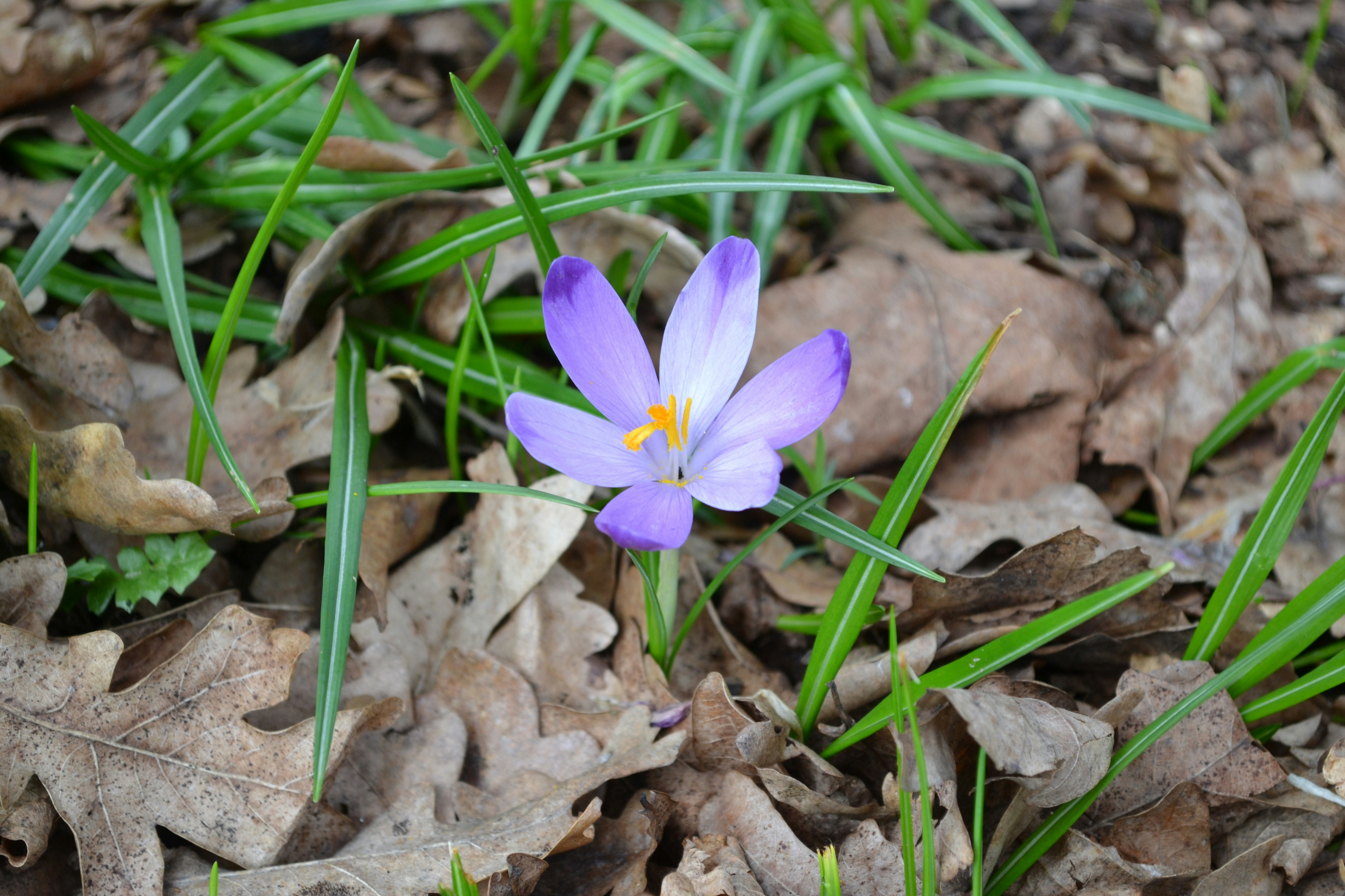 Photo by eugenegrunge