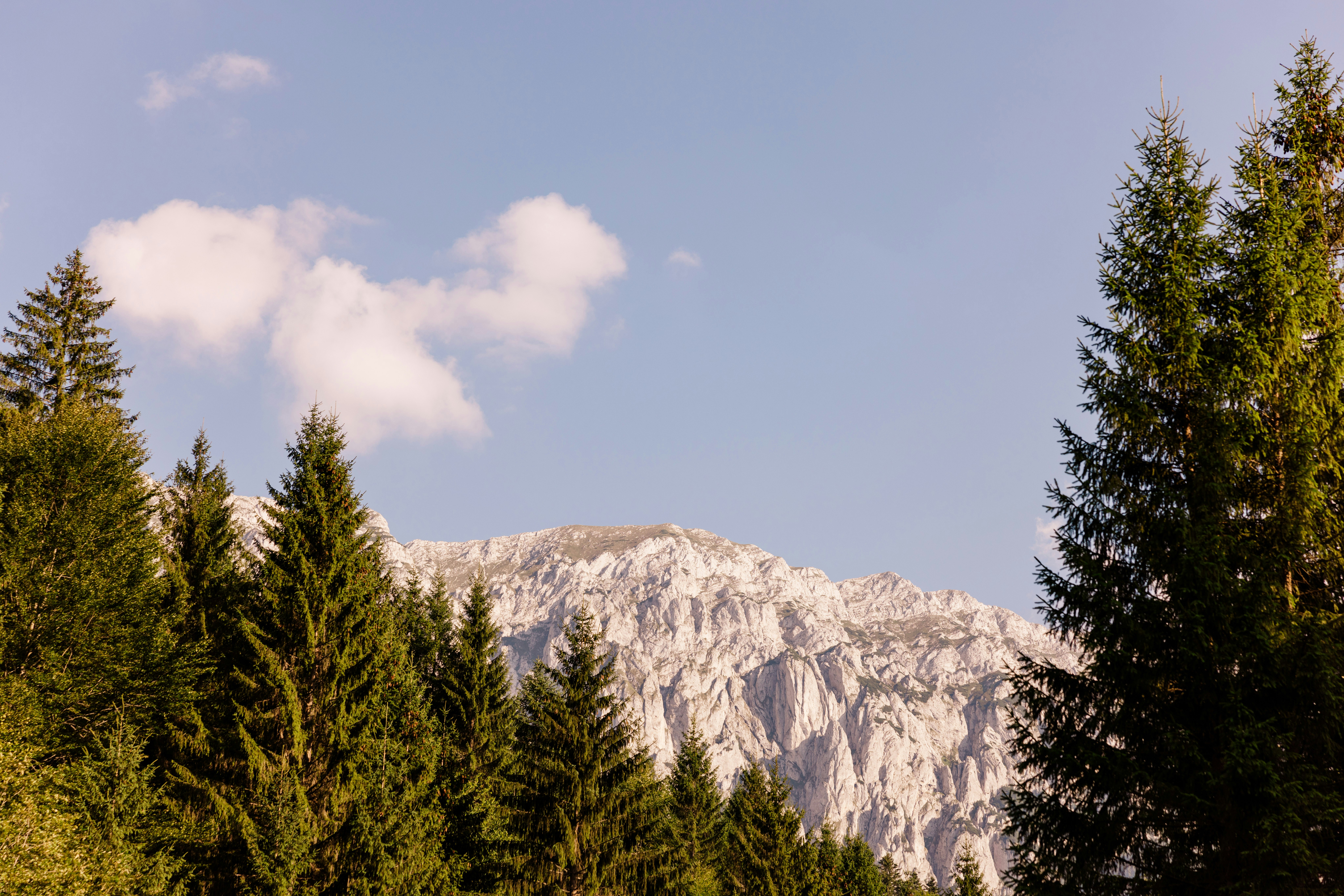 Photo by fotografbrasov
