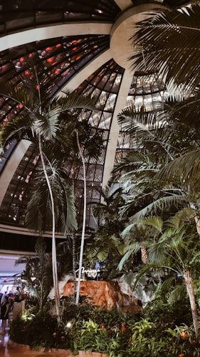 Grotto Bay Beach Resort resort