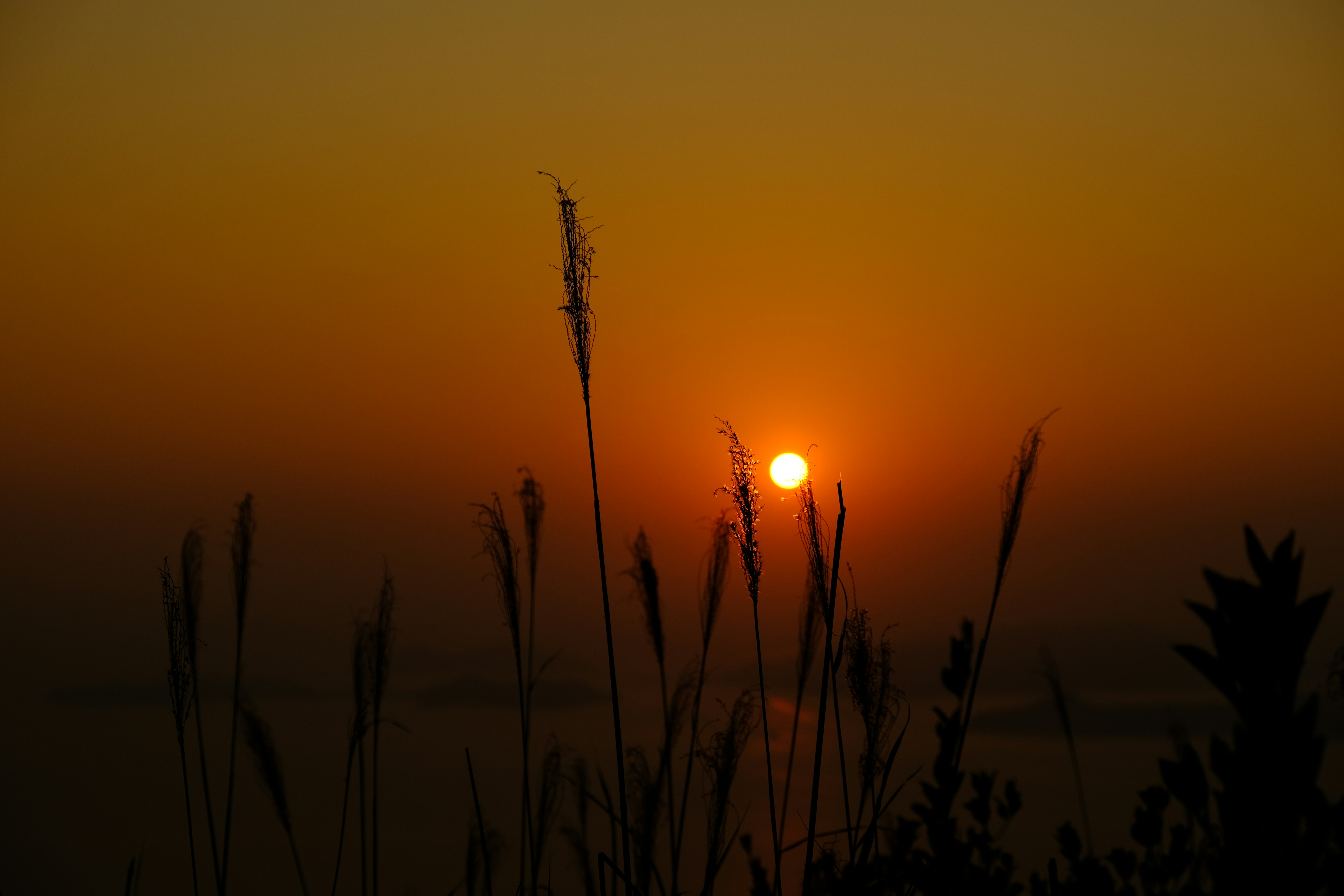 Photo by naomiliu1020