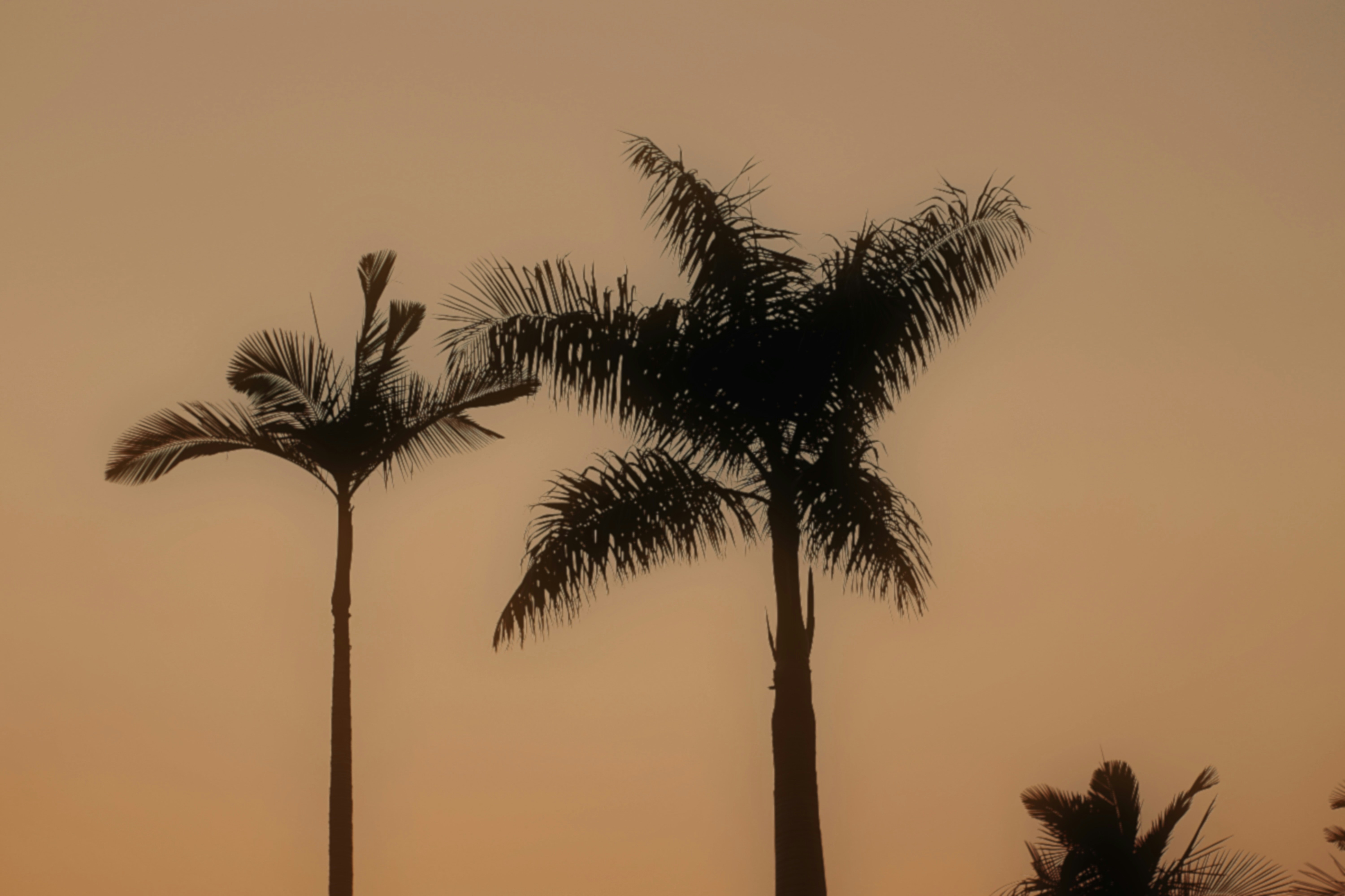 Photo by jizhidexiaohailang