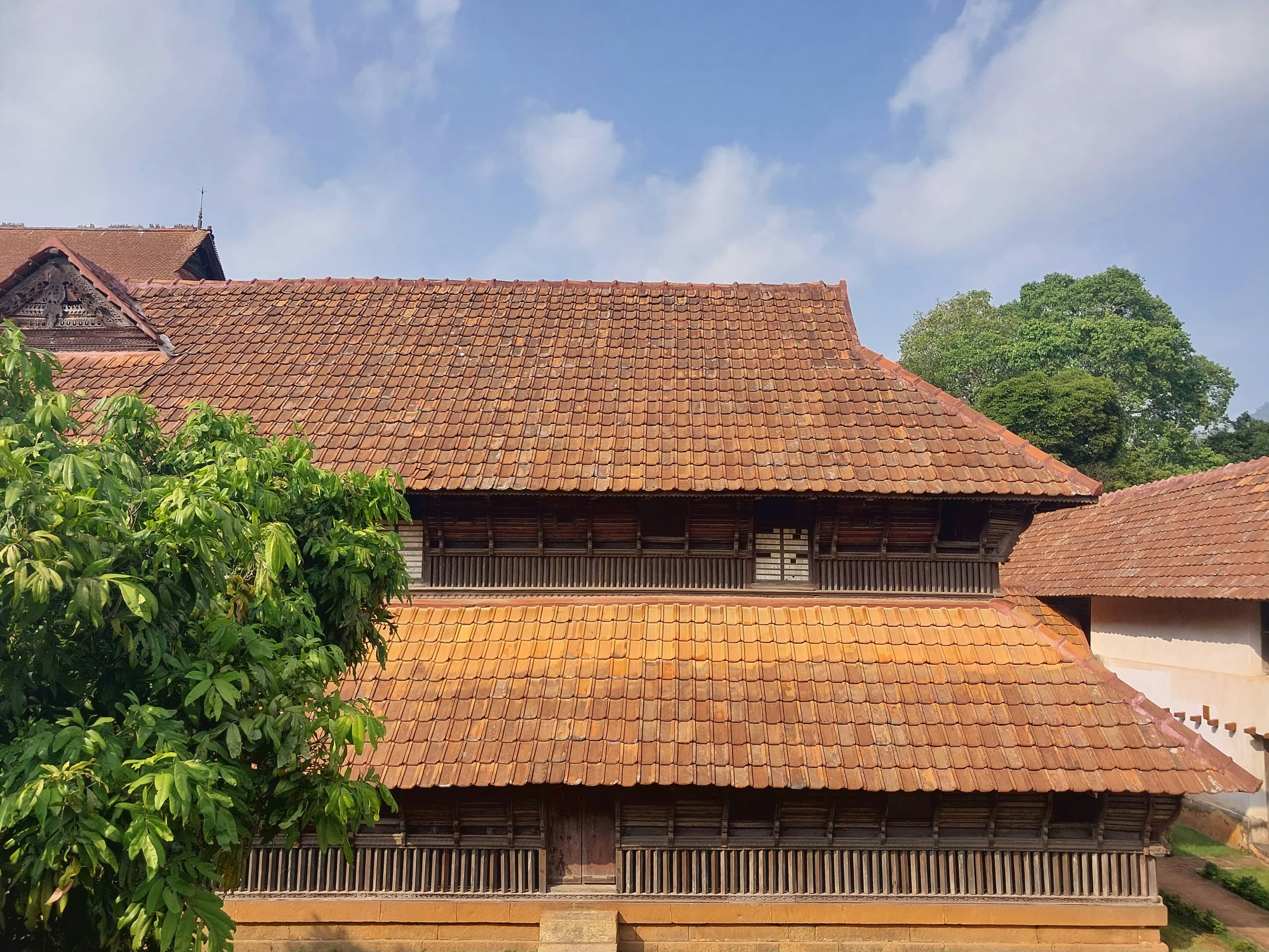 Photo by afrostydewdrop