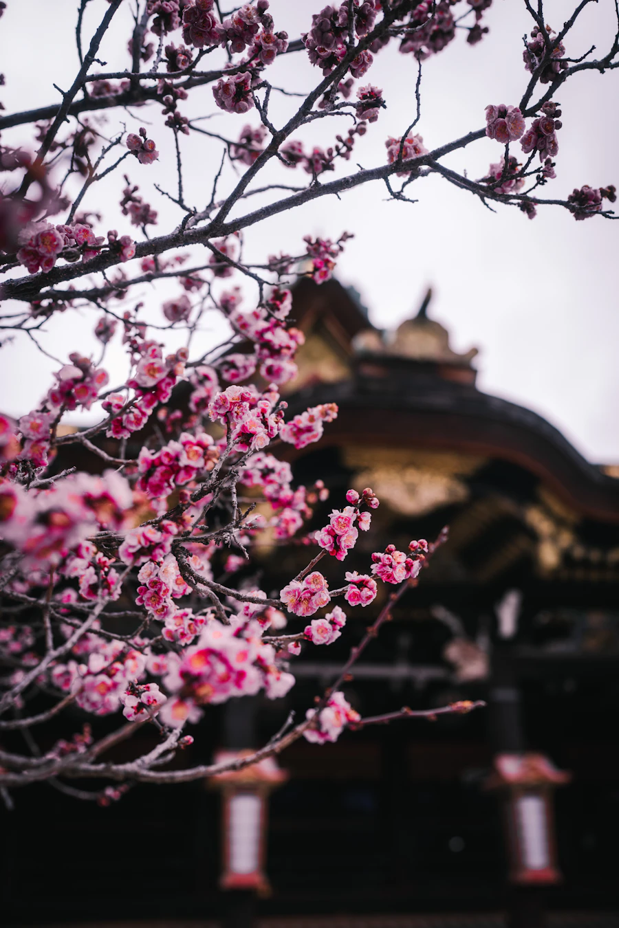 Ideal weather for sightseeing