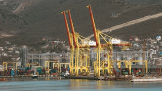 Large cranes stand at a harbor in the mountains.