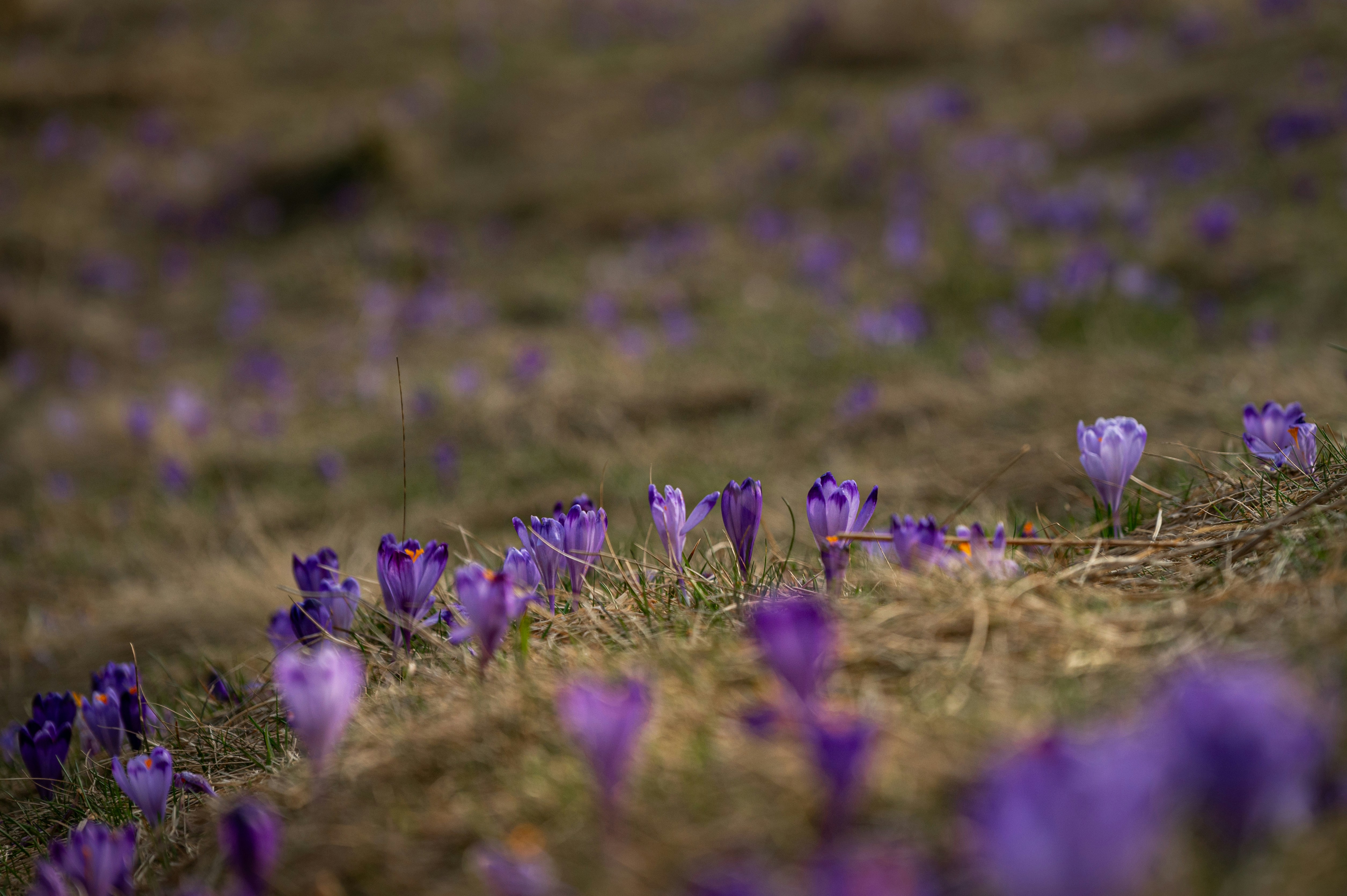 Photo by alexandra_p_d