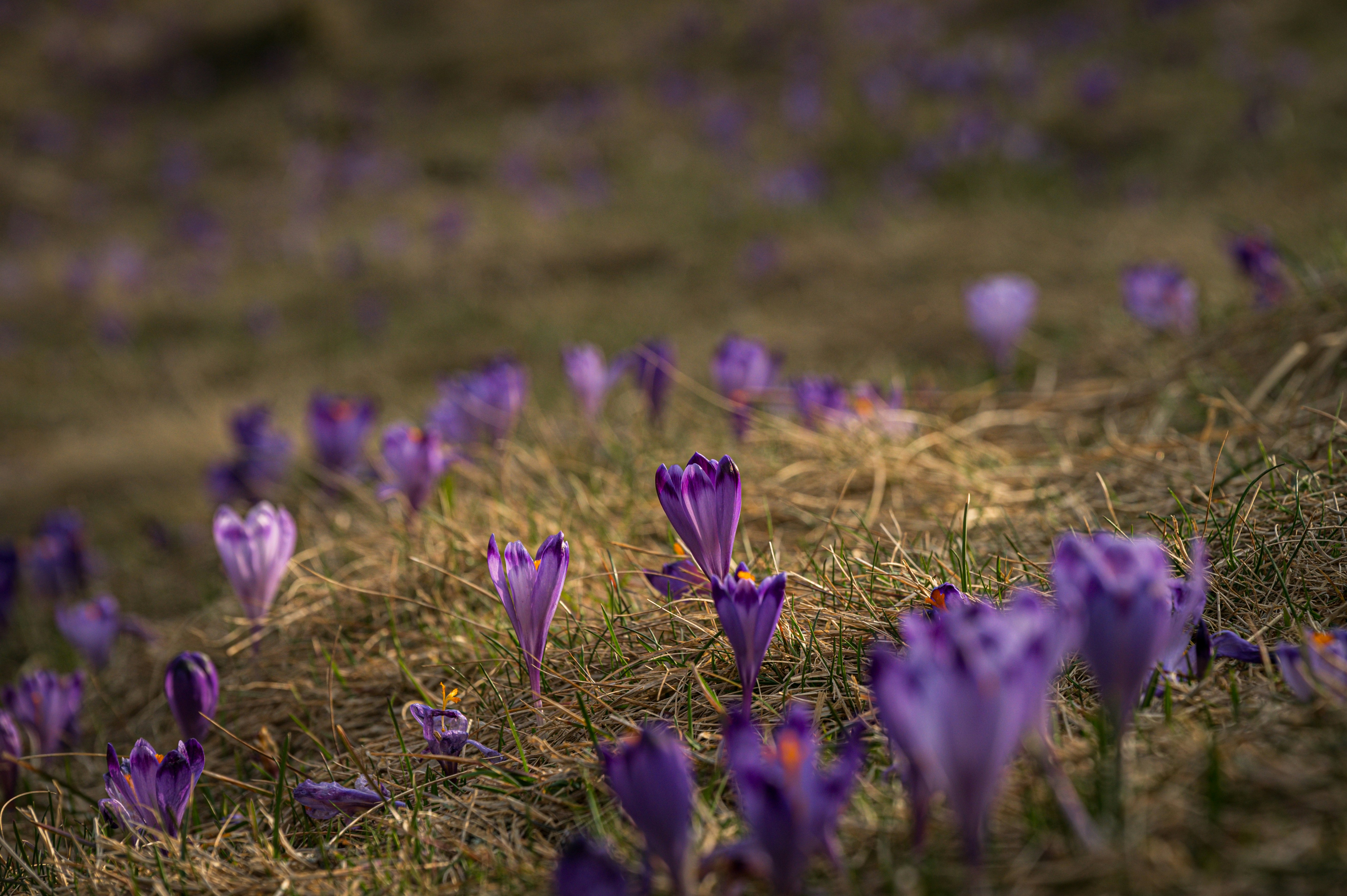 Photo by alexandra_p_d