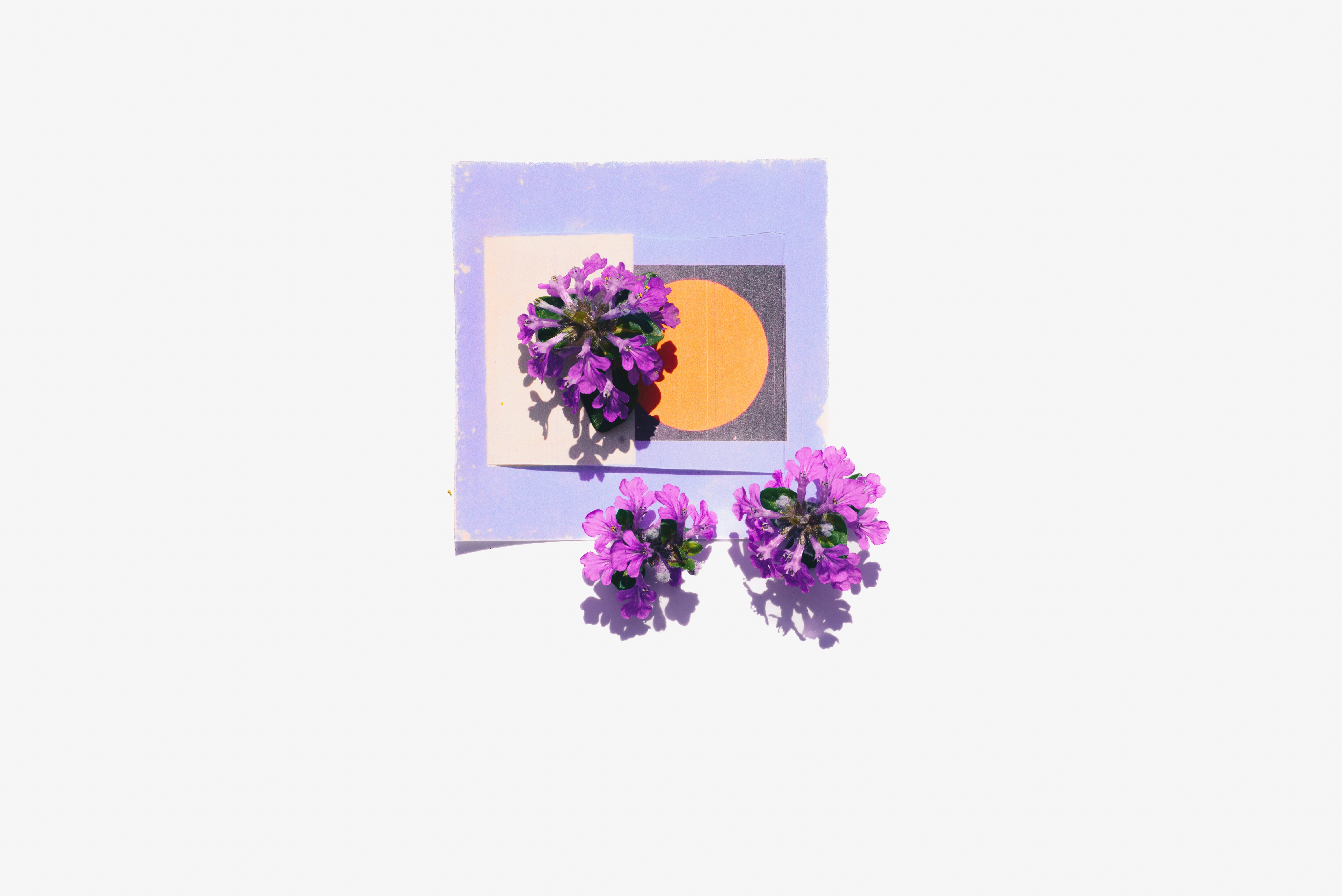 What To Anticipate When You Reserve A Female Stripper For The Very First Time