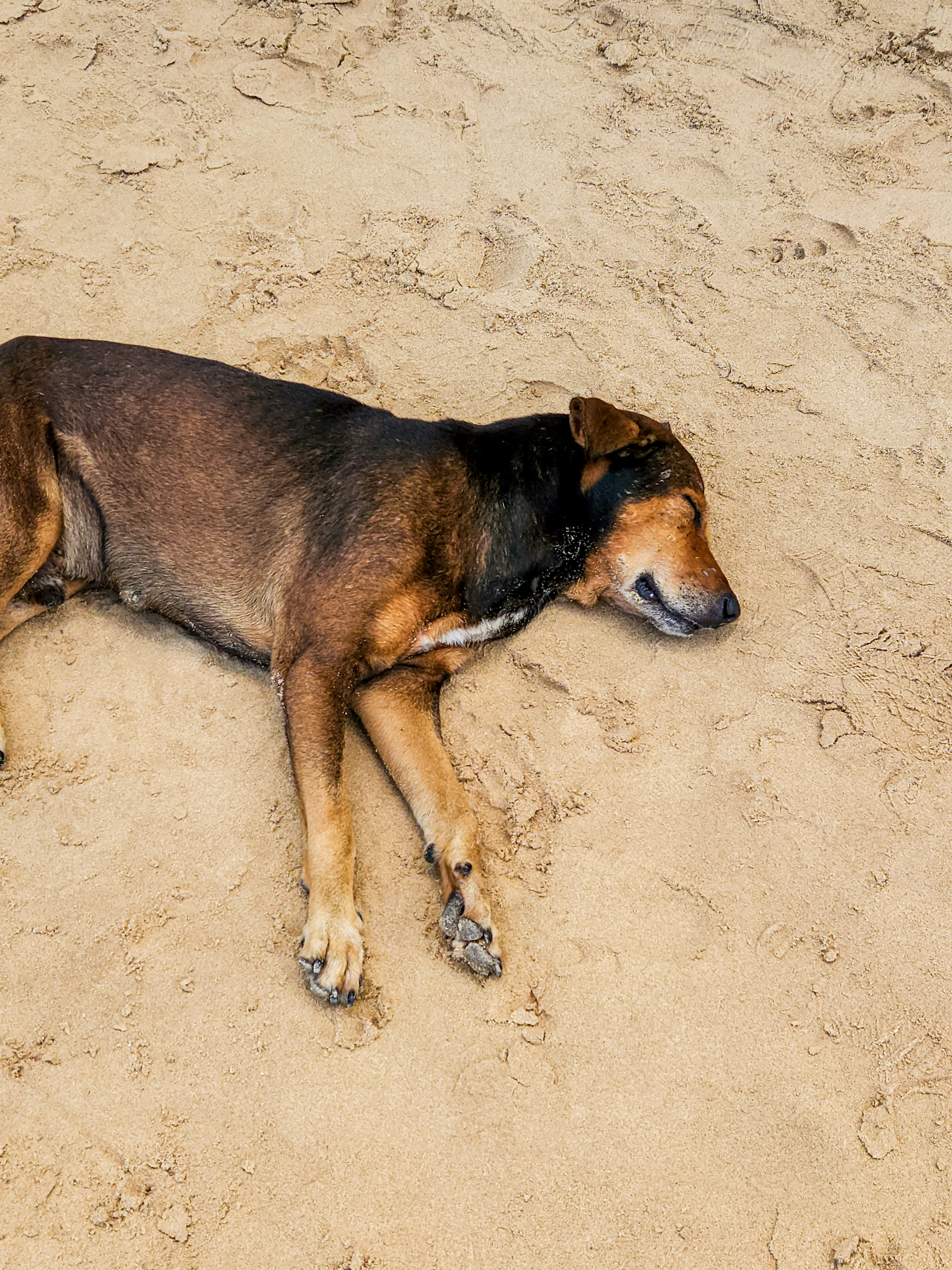 Photo by zoshuacolah