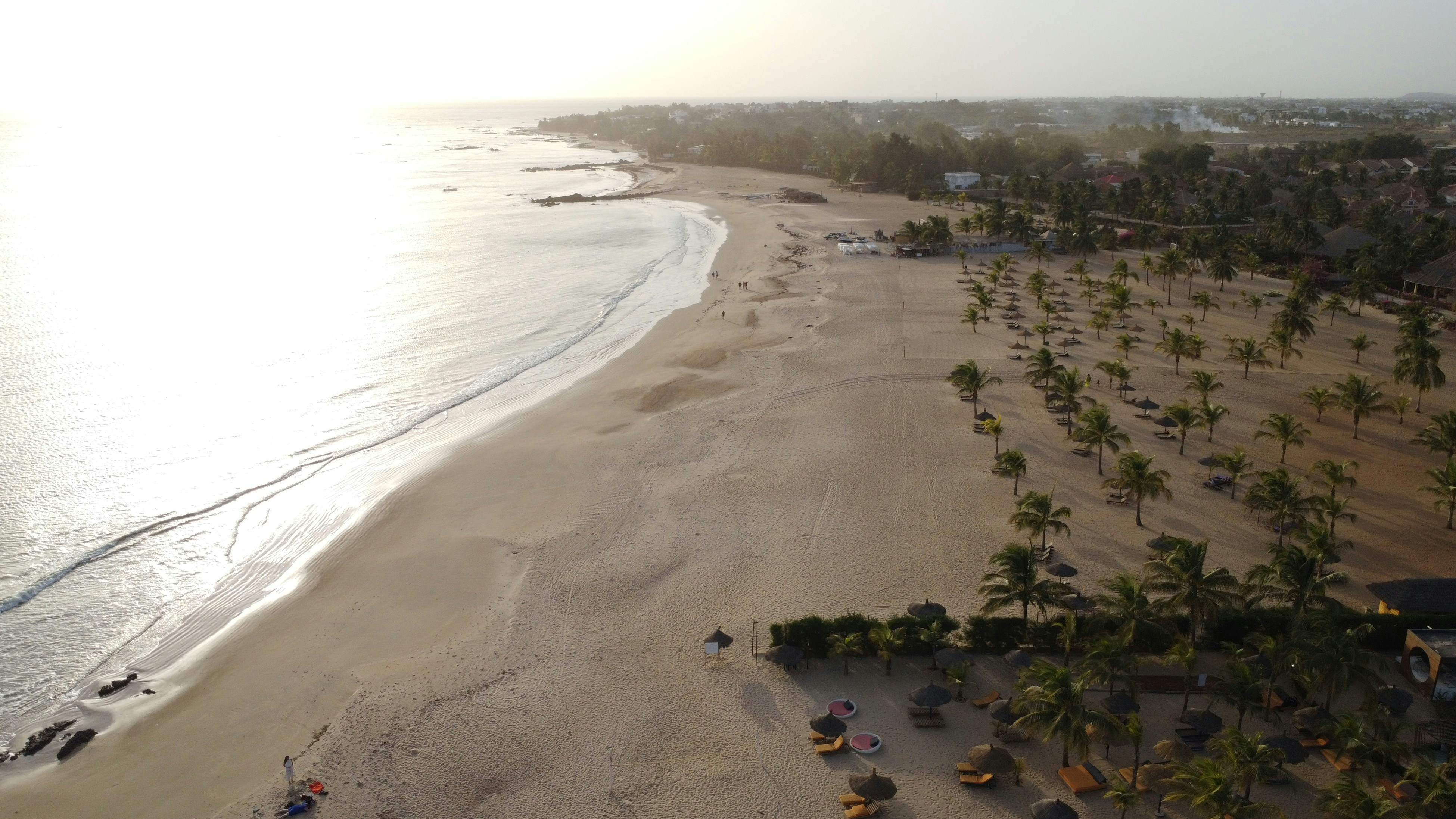 A sandy beach with palm trees and the ocean.