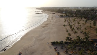 A sandy beach with palm trees and the ocean.