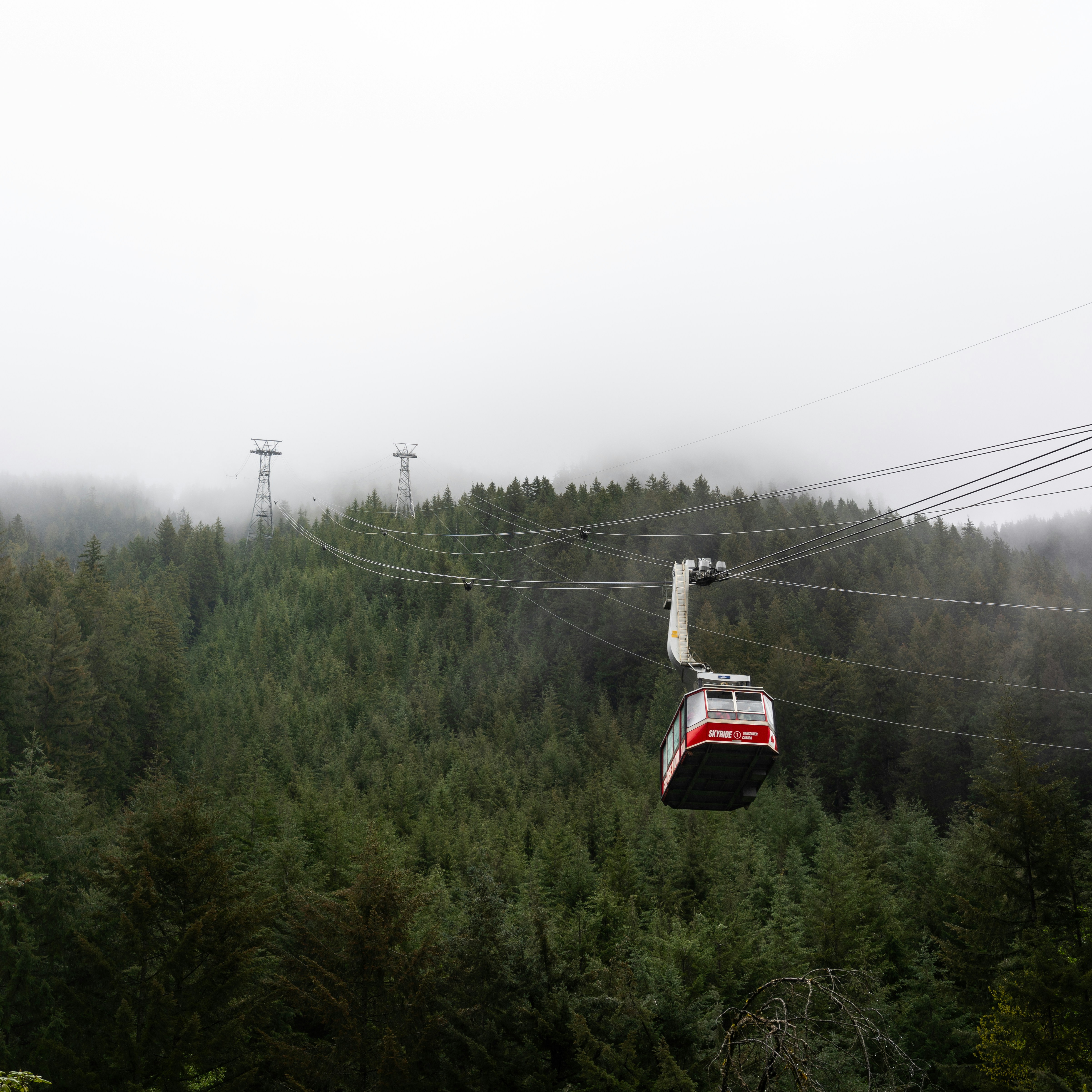 A cable car travels over a forest on a foggy day.