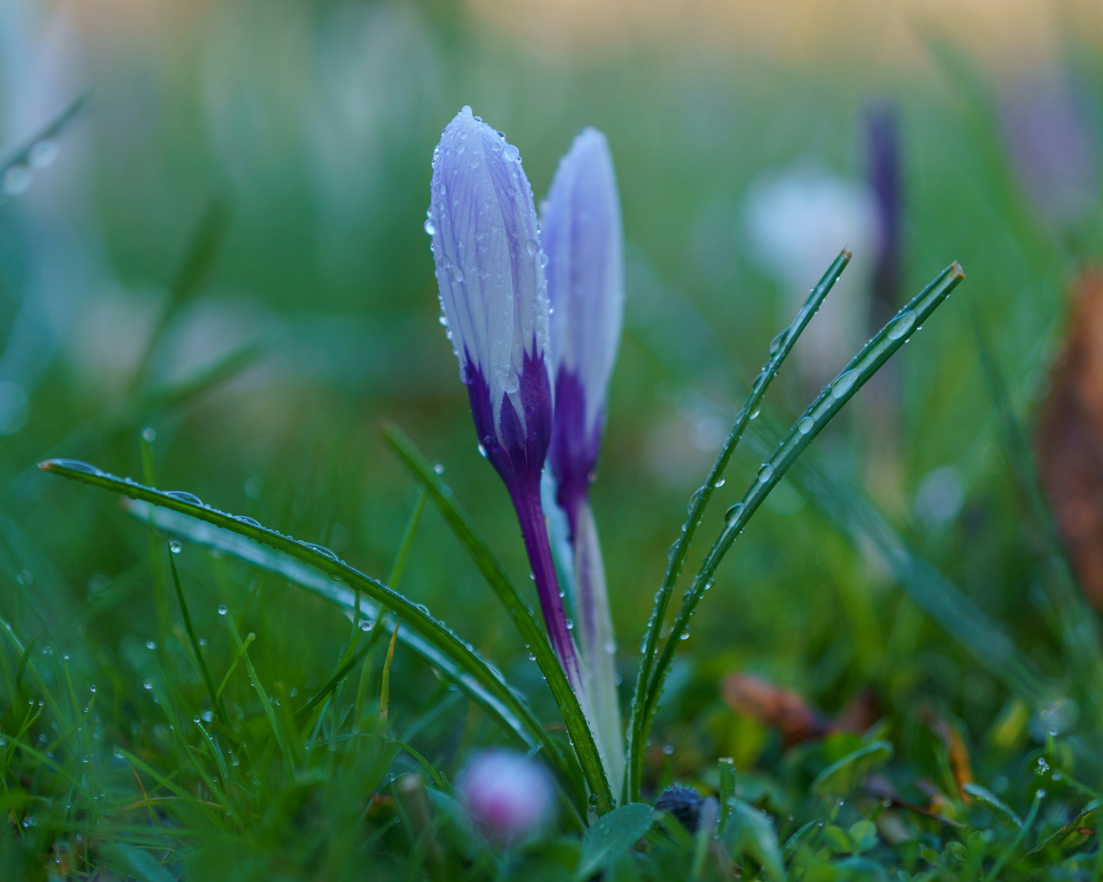 Photo by bangscreative