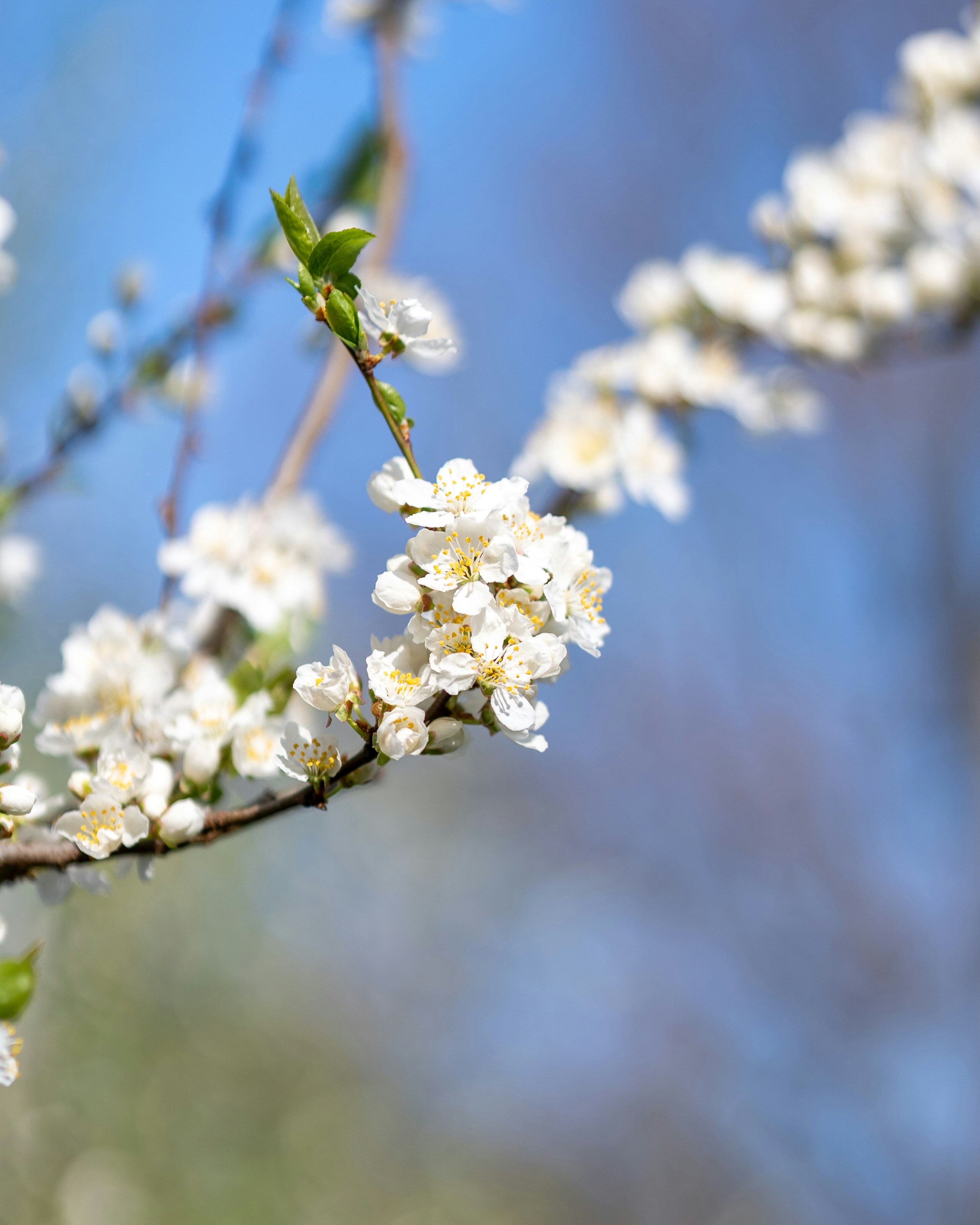 Photo by bangscreative