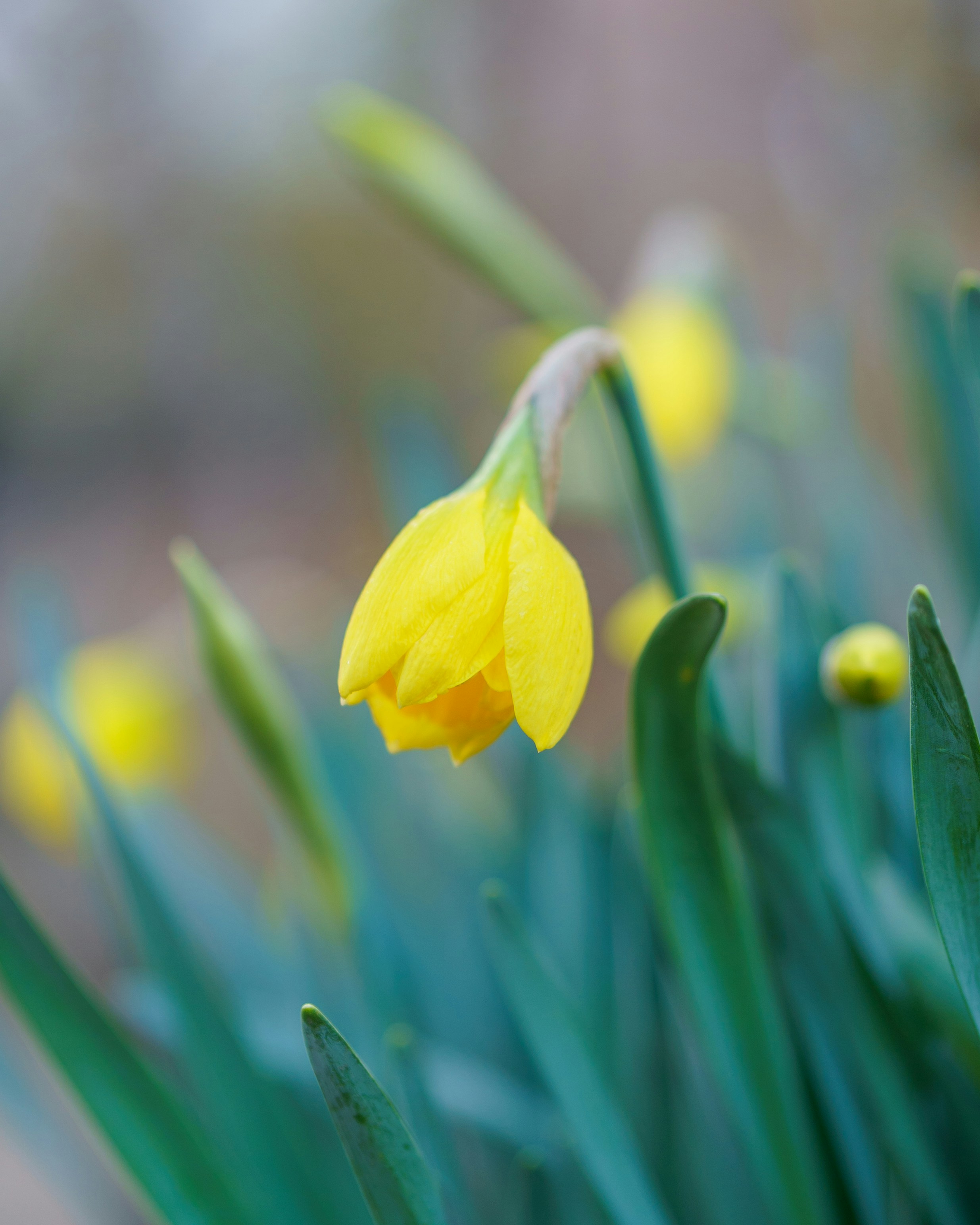 Photo by bangscreative