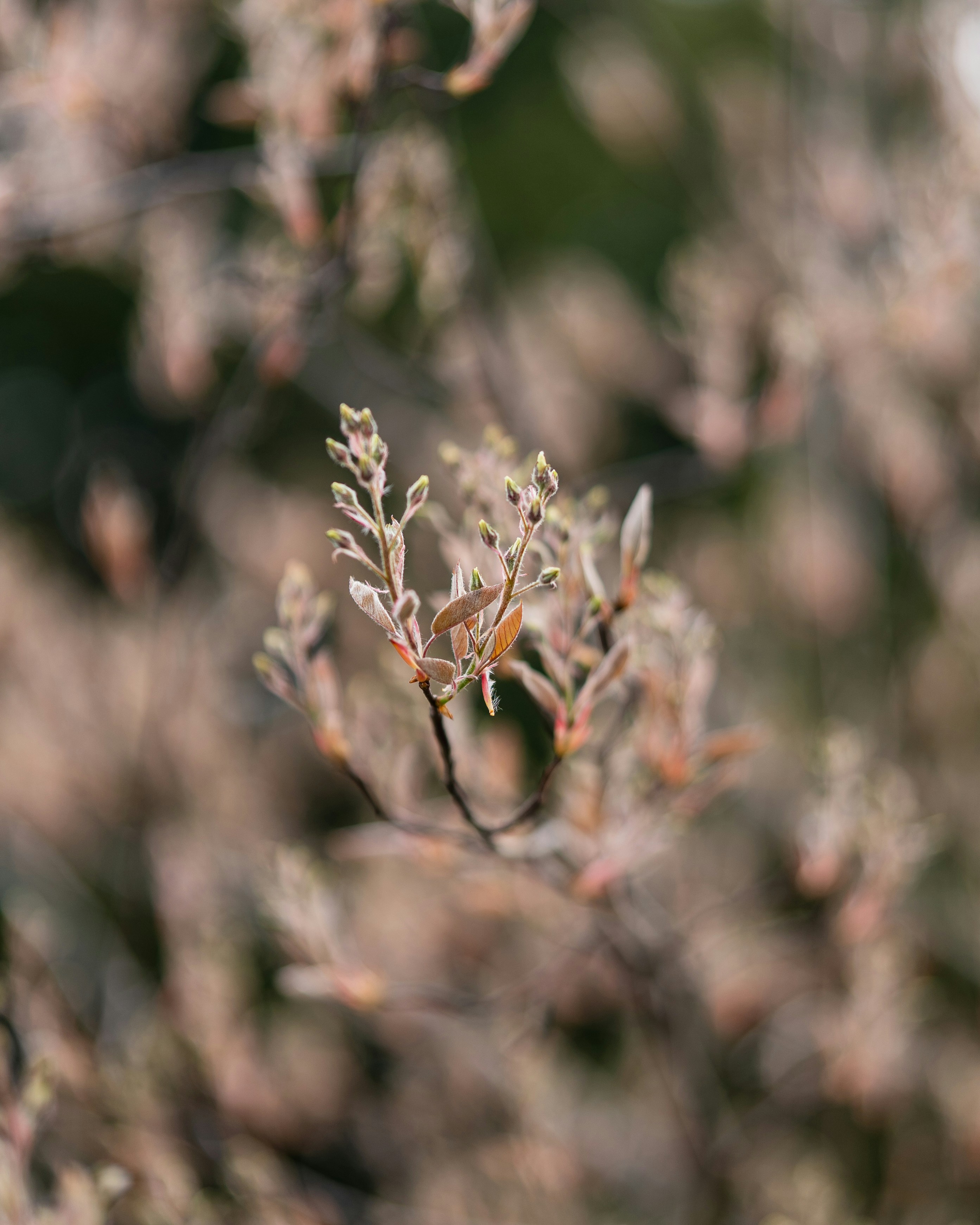 Photo by bangscreative