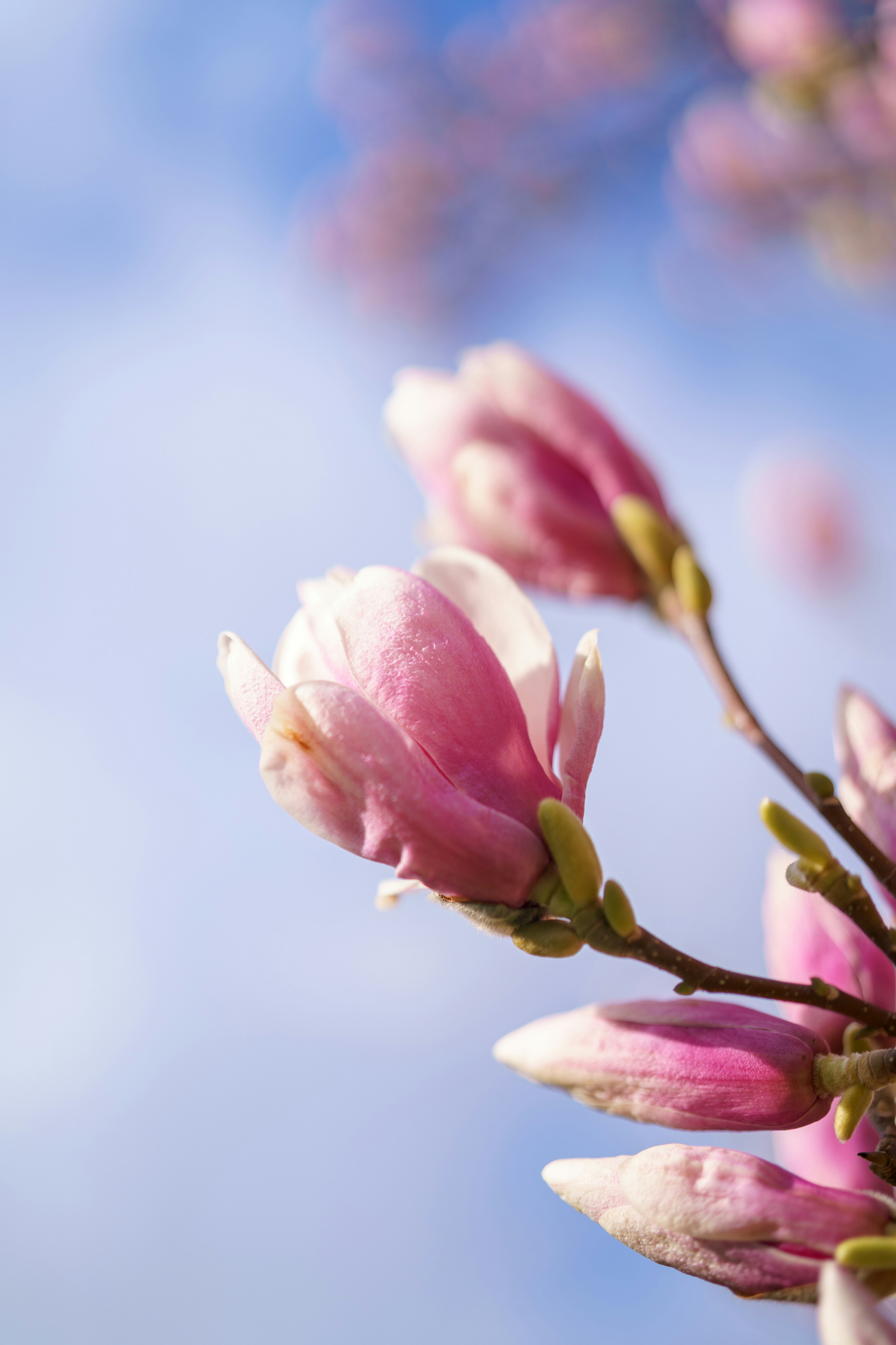 Photo by bangscreative