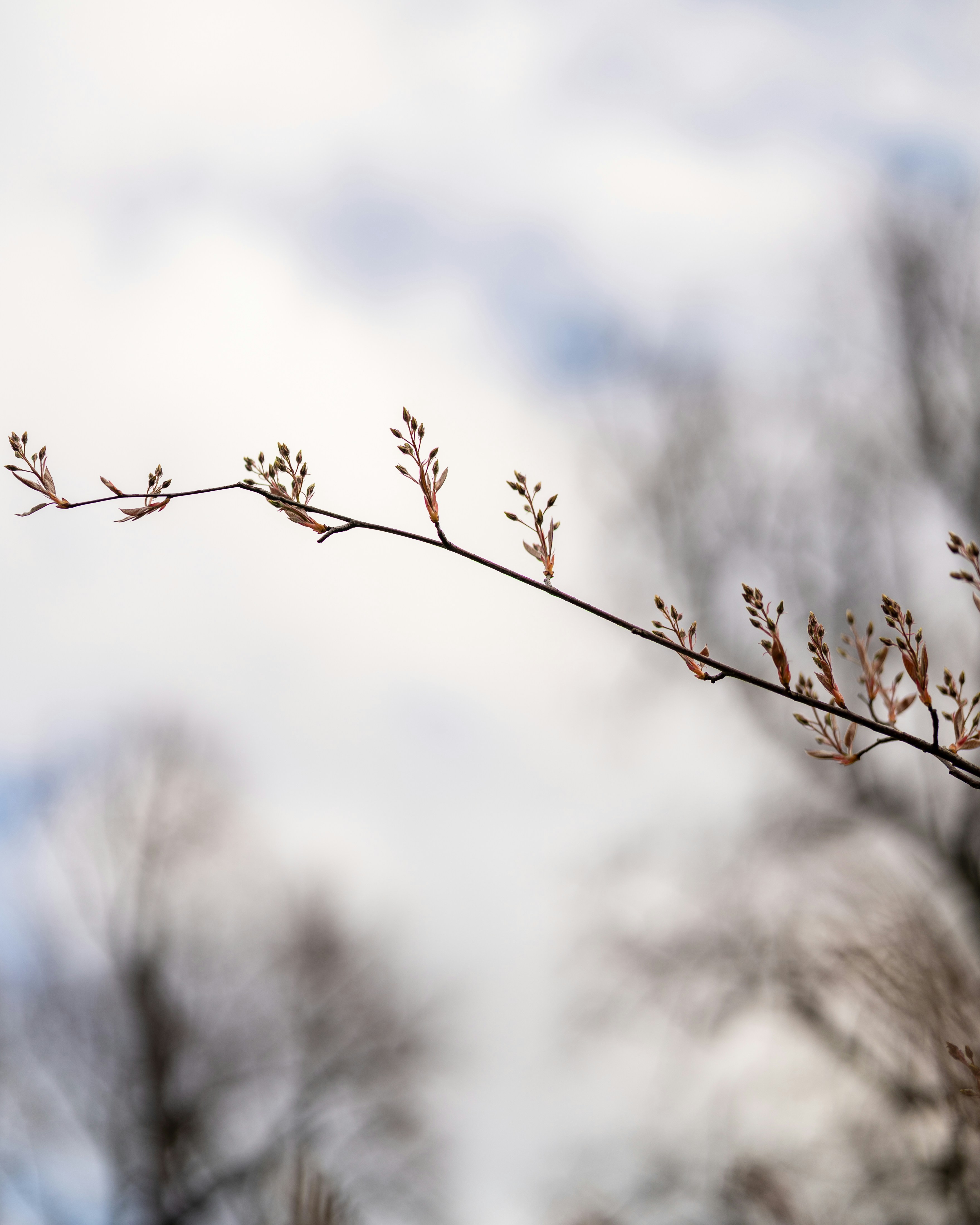 Photo by bangscreative