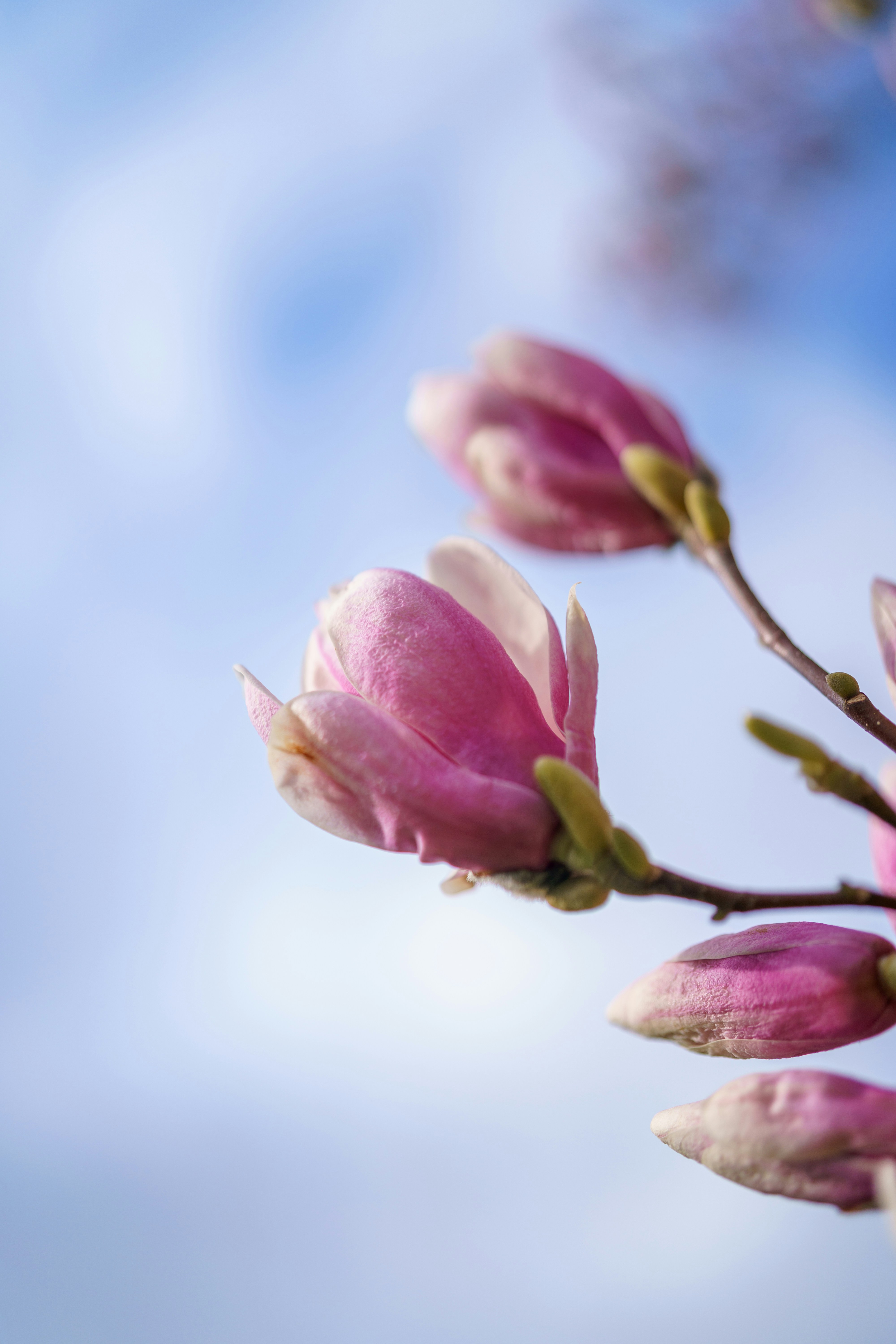 Photo by bangscreative