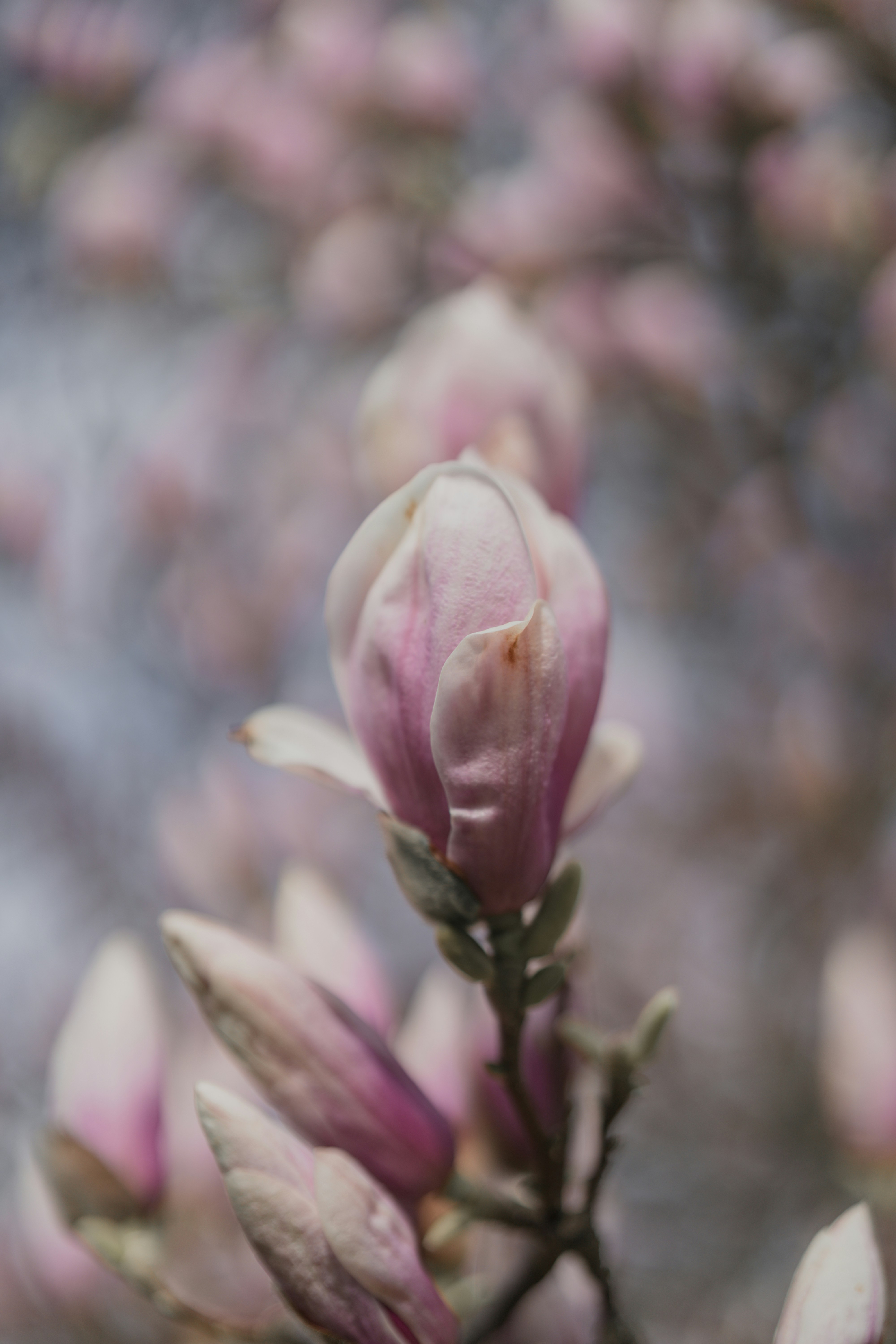 Photo by bangscreative