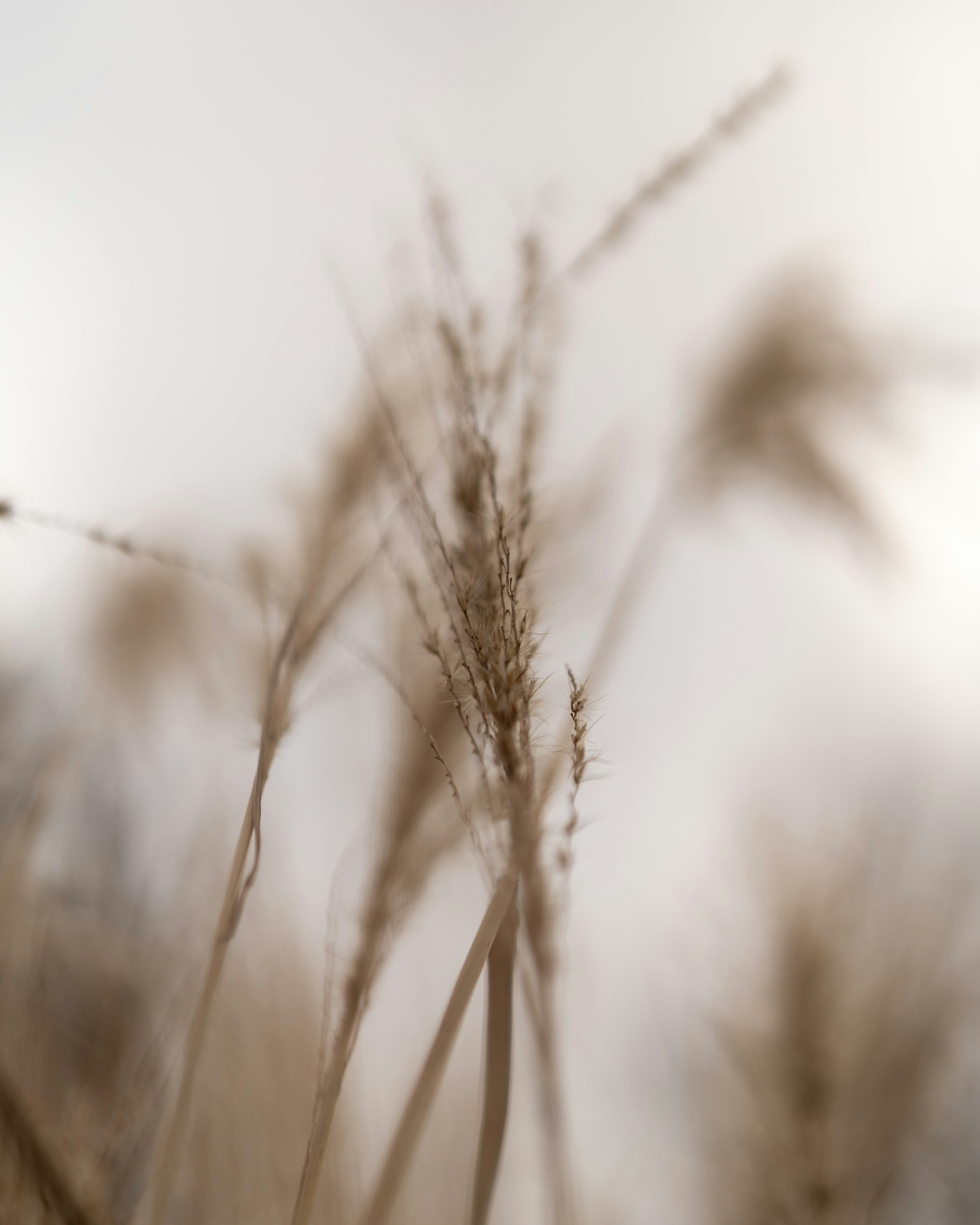 Photo by bangscreative