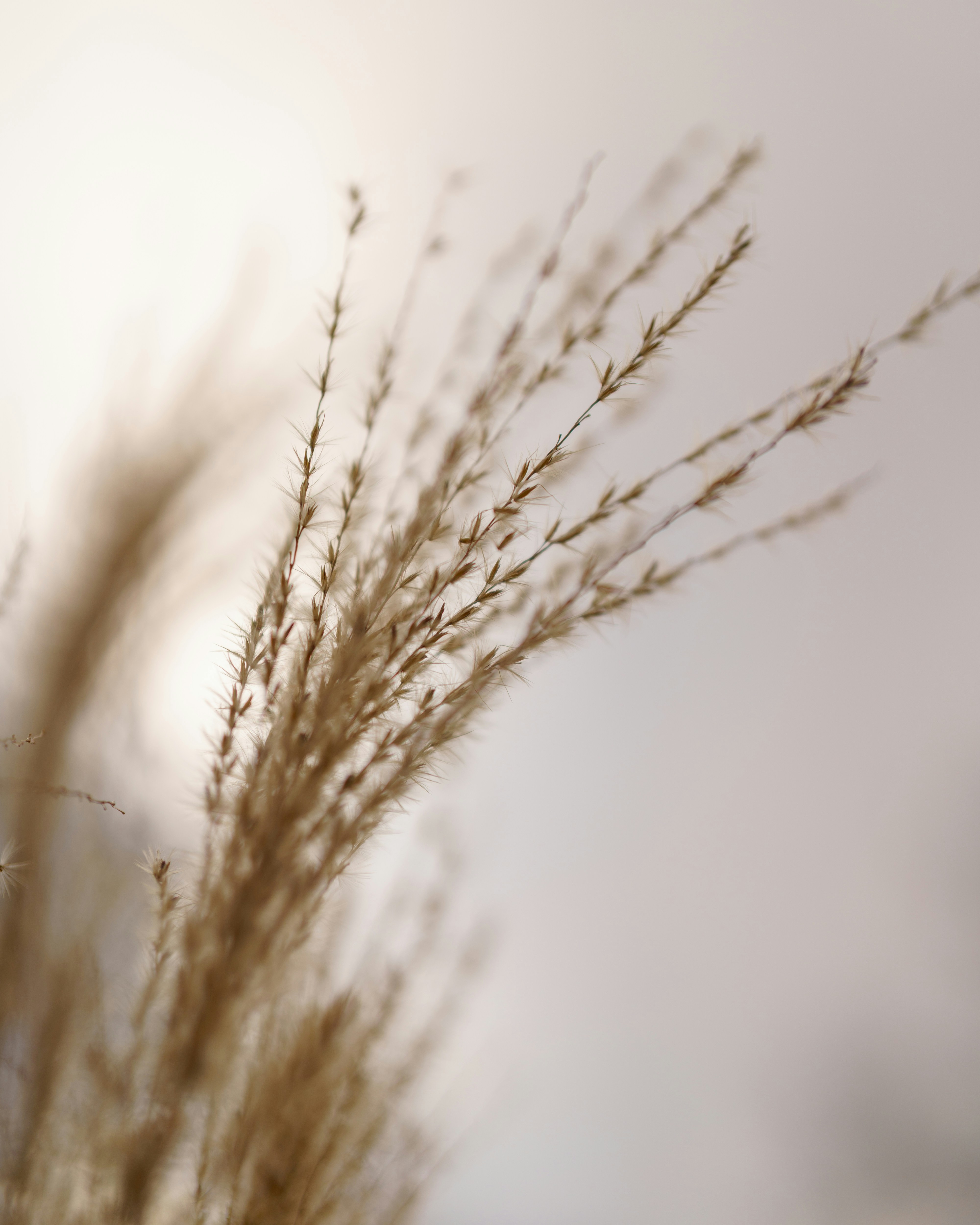 Photo by bangscreative