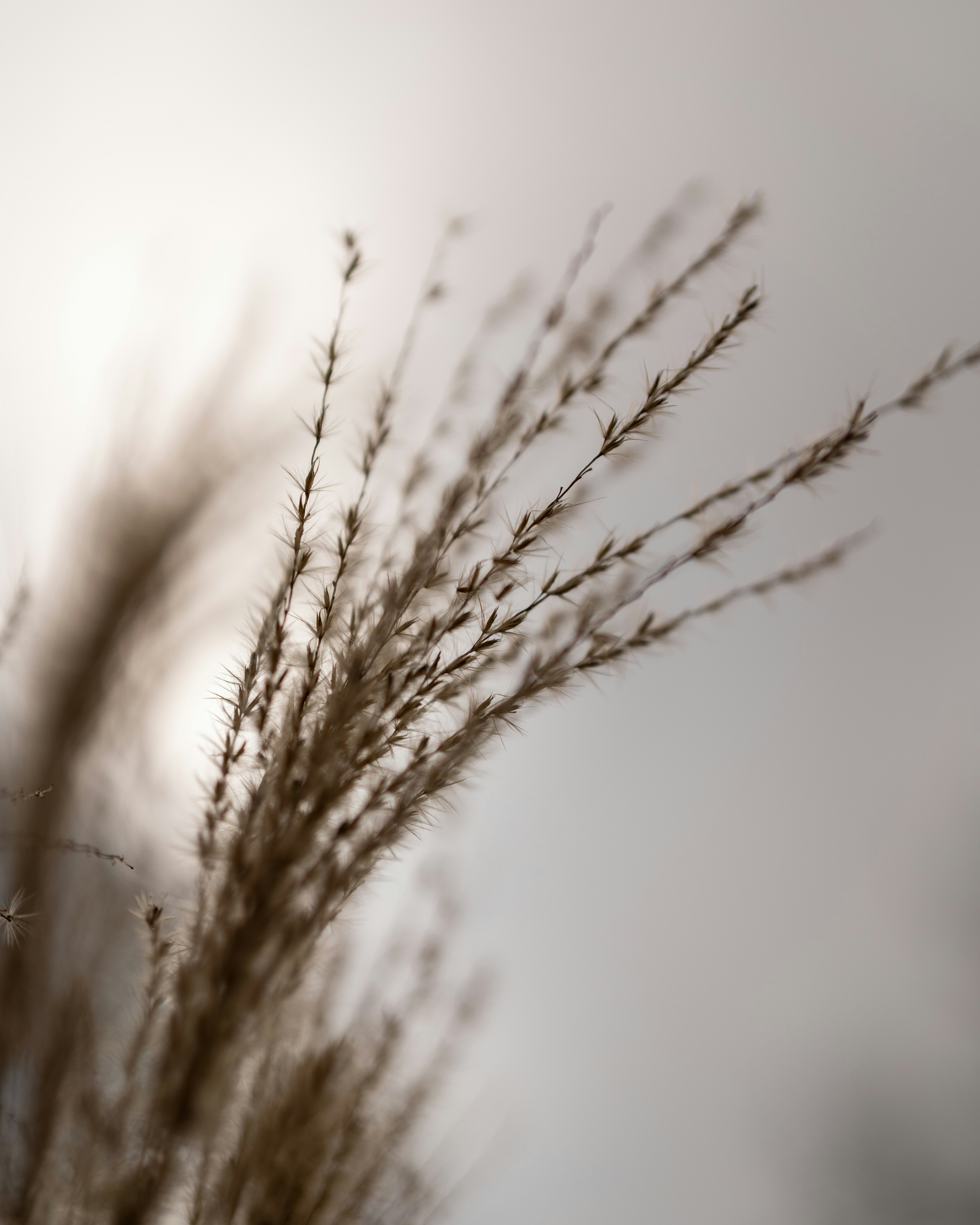 Photo by bangscreative