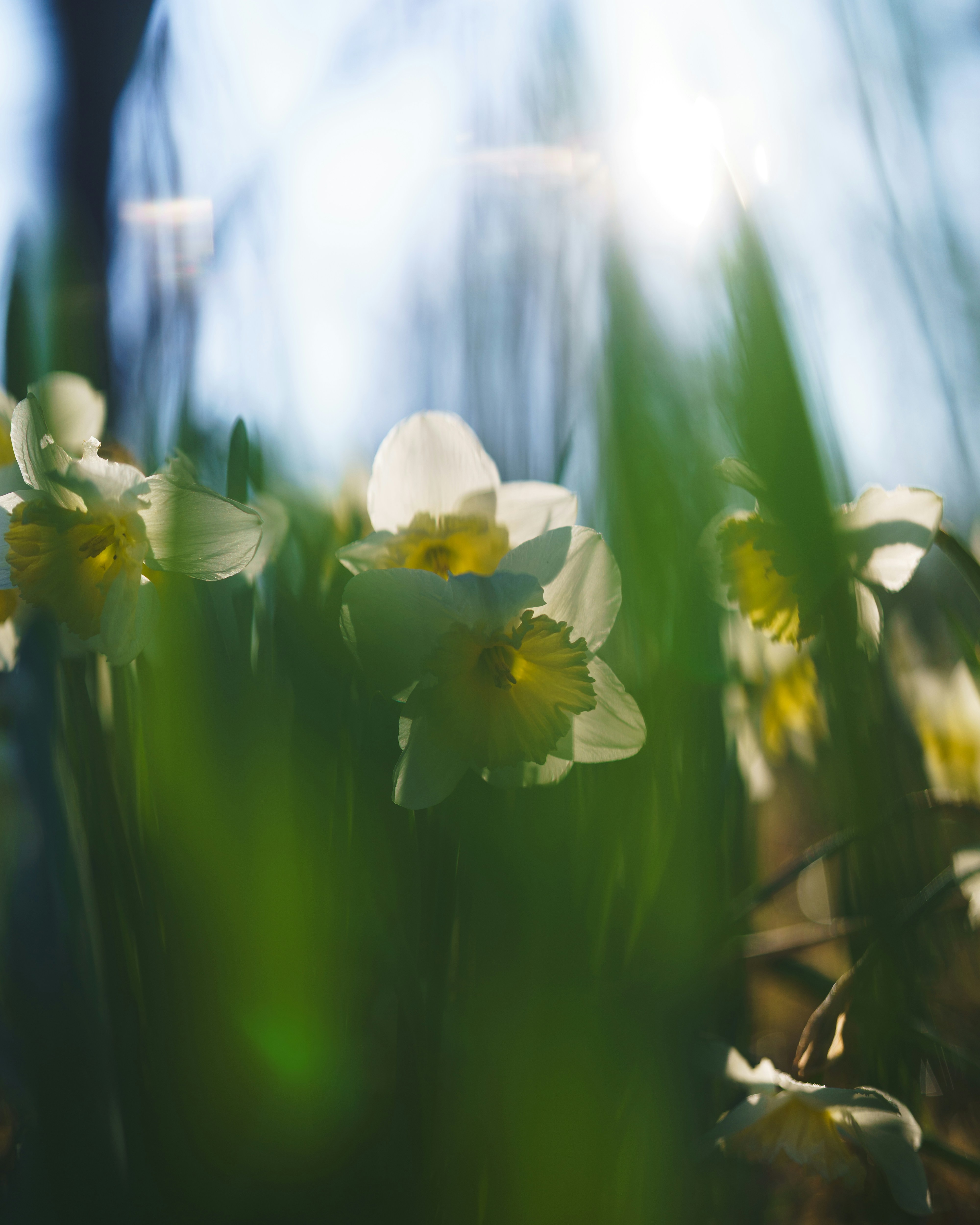 Photo by bangscreative