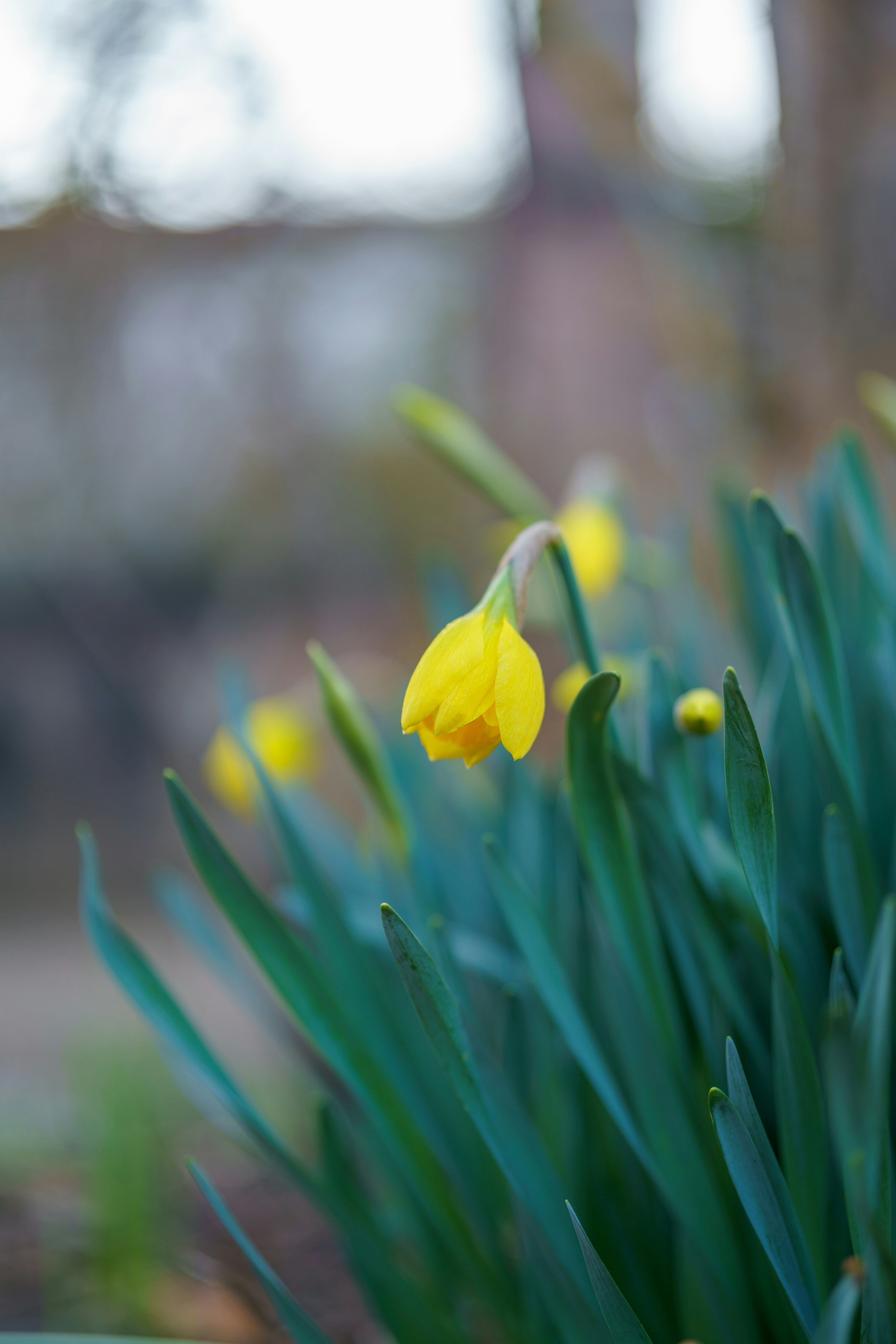 Photo by bangscreative