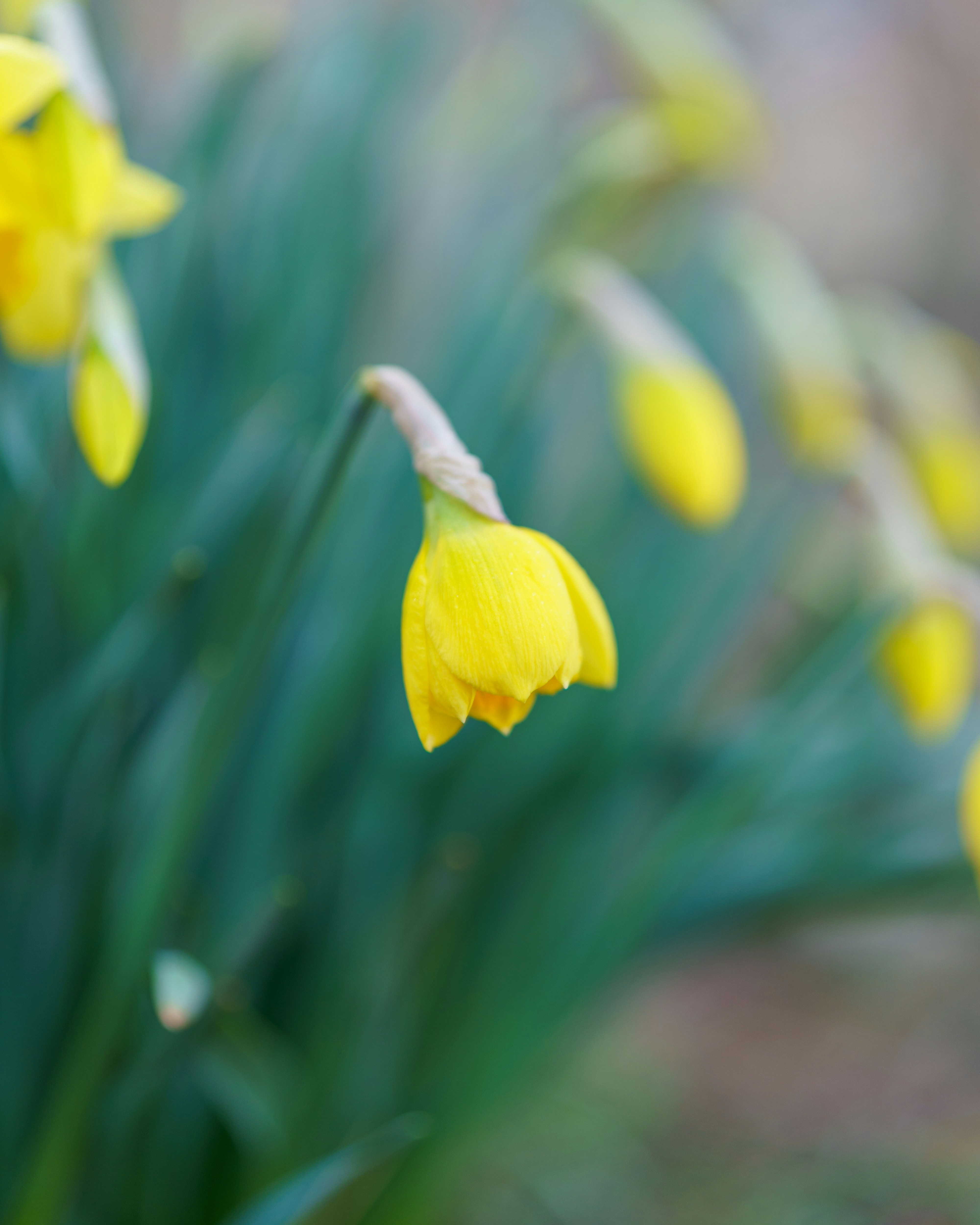 Photo by bangscreative