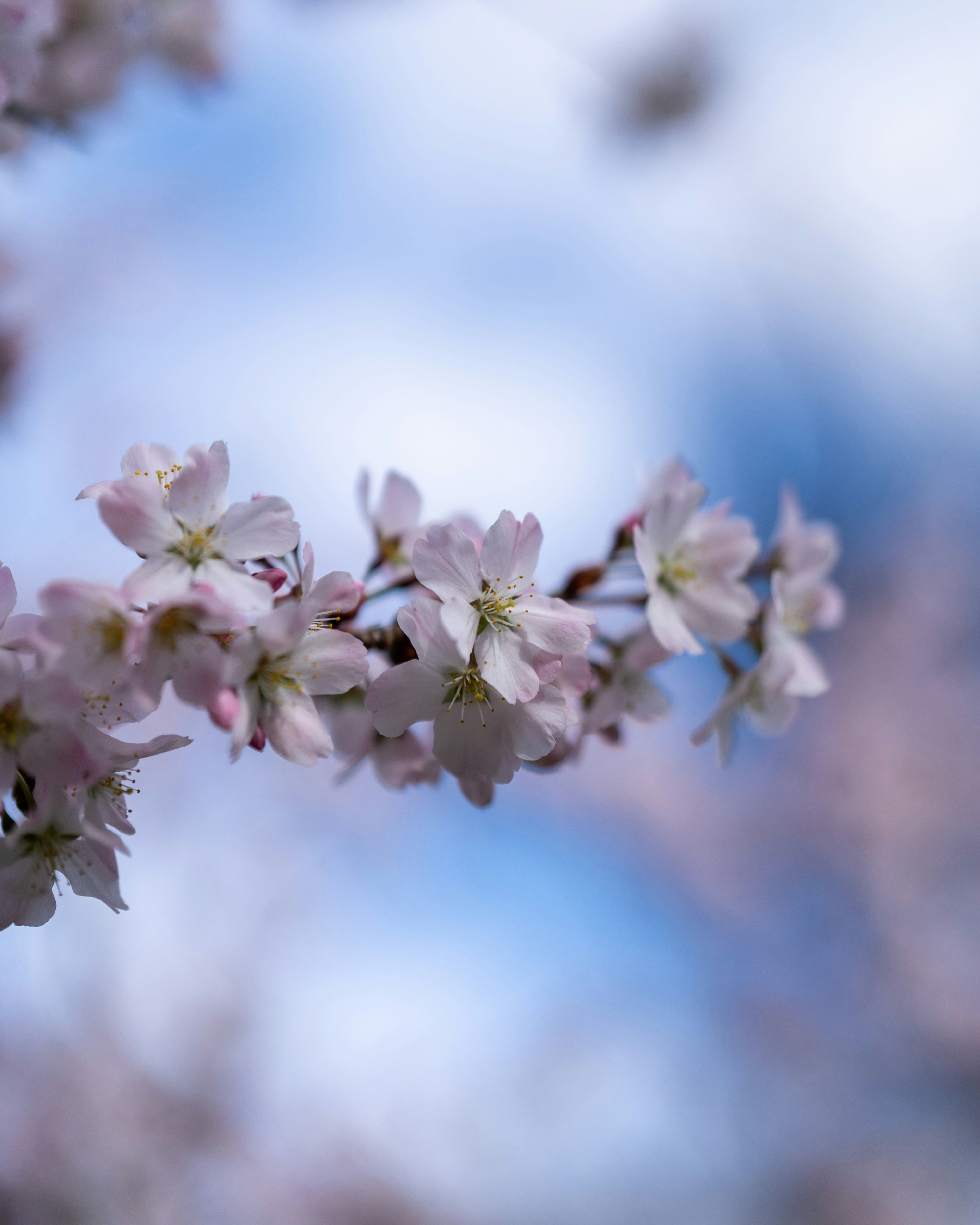 Photo by bangscreative