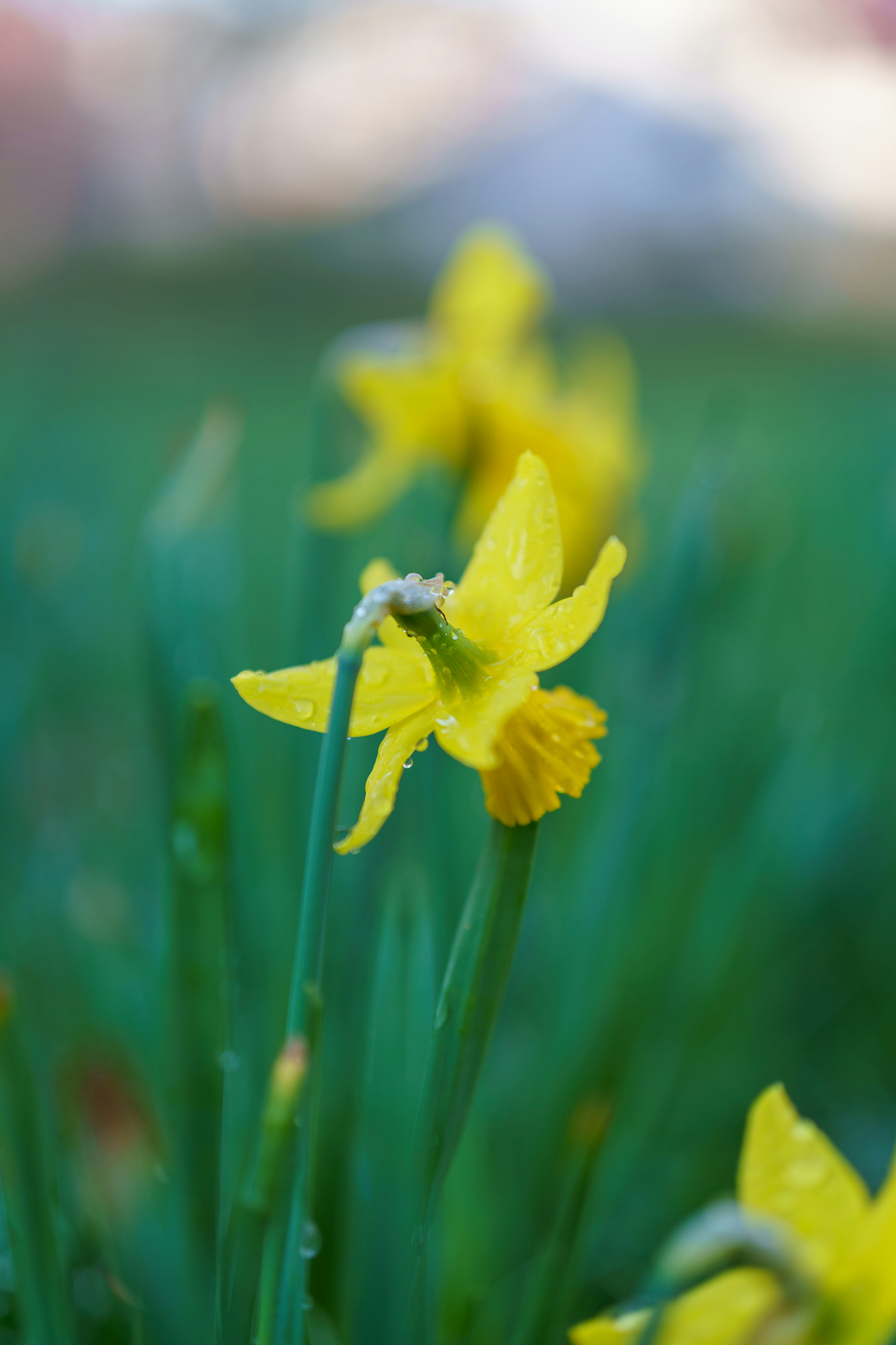 Photo by bangscreative