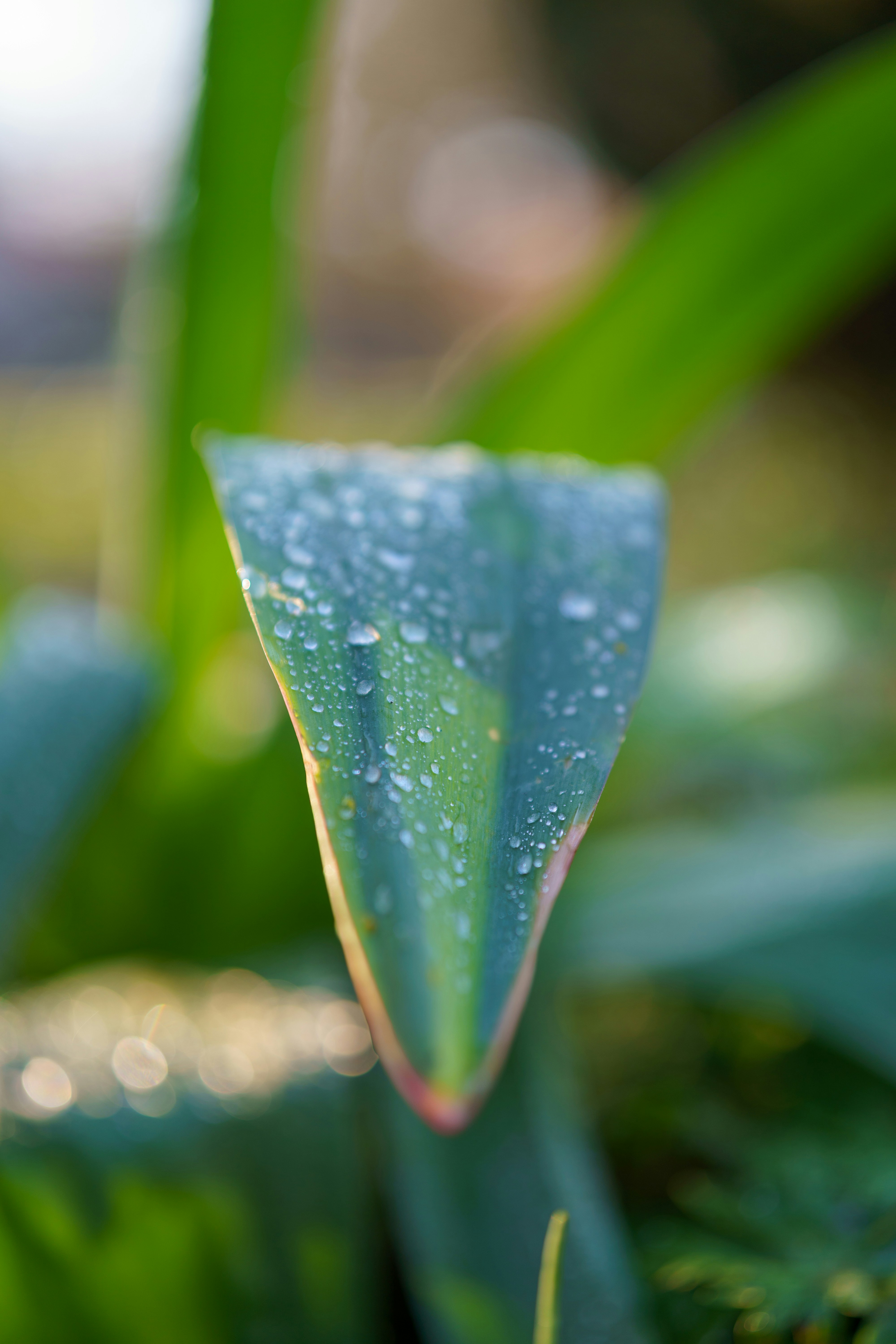 Photo by bangscreative