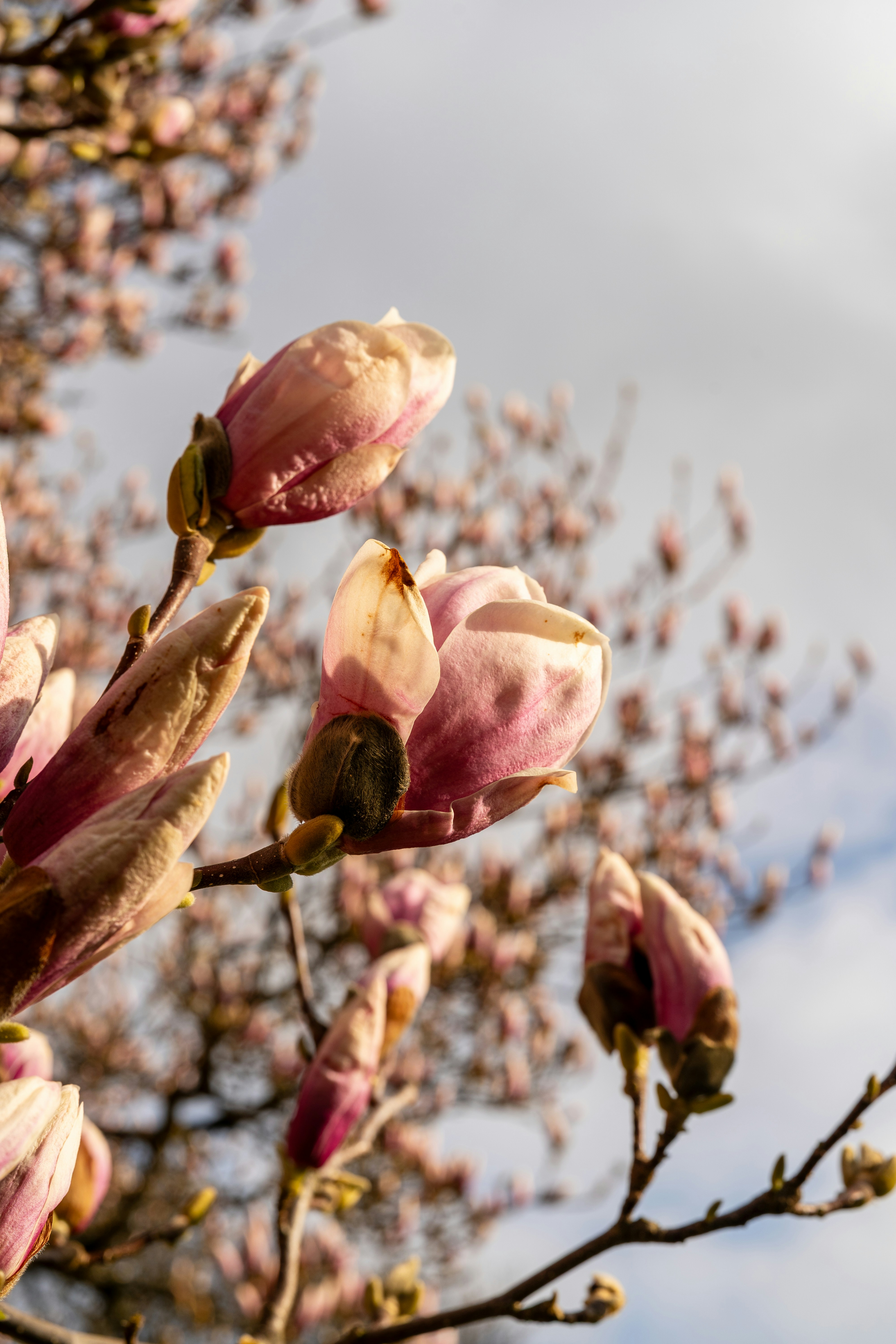 Photo by bangscreative