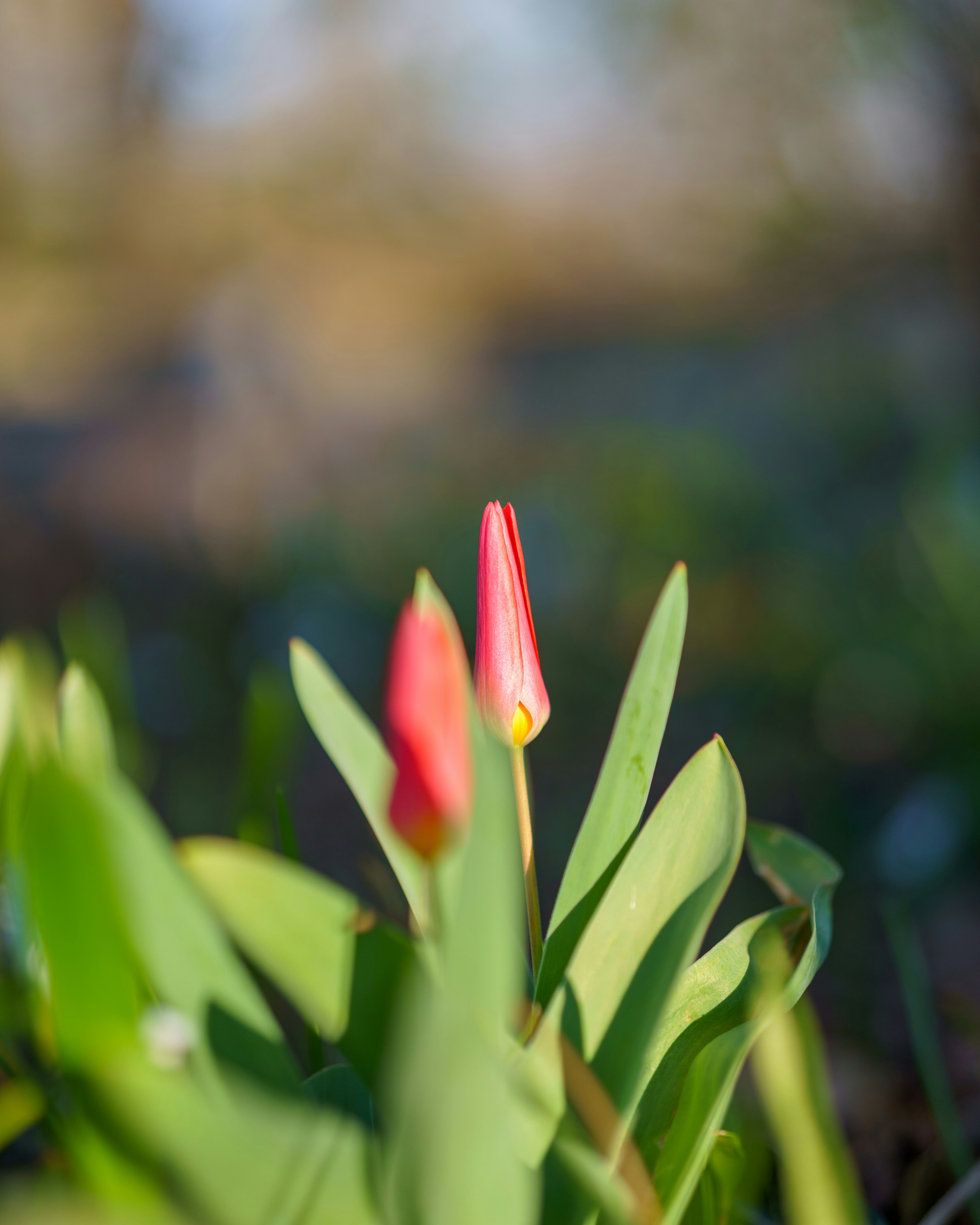 Photo by bangscreative