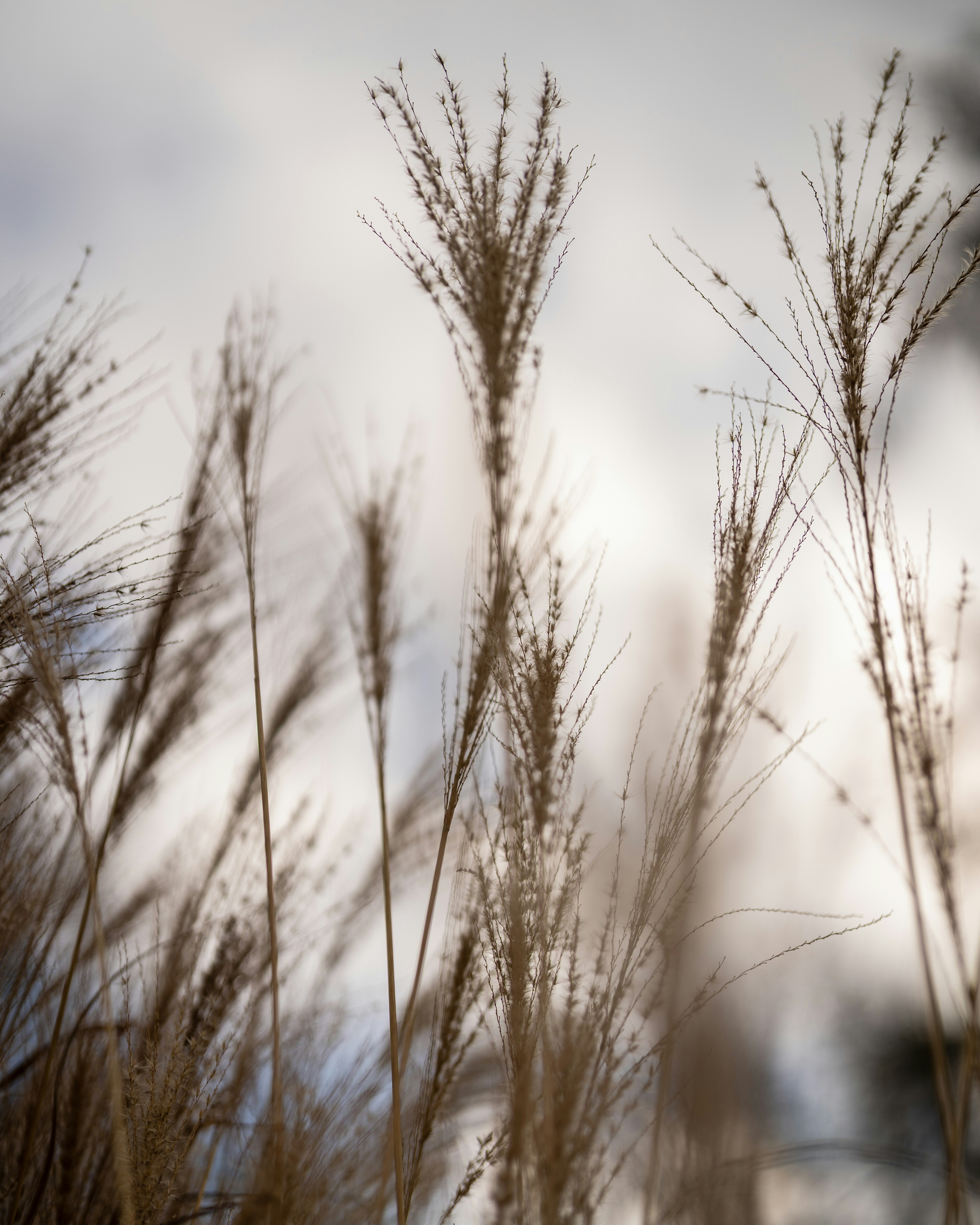 Photo by bangscreative