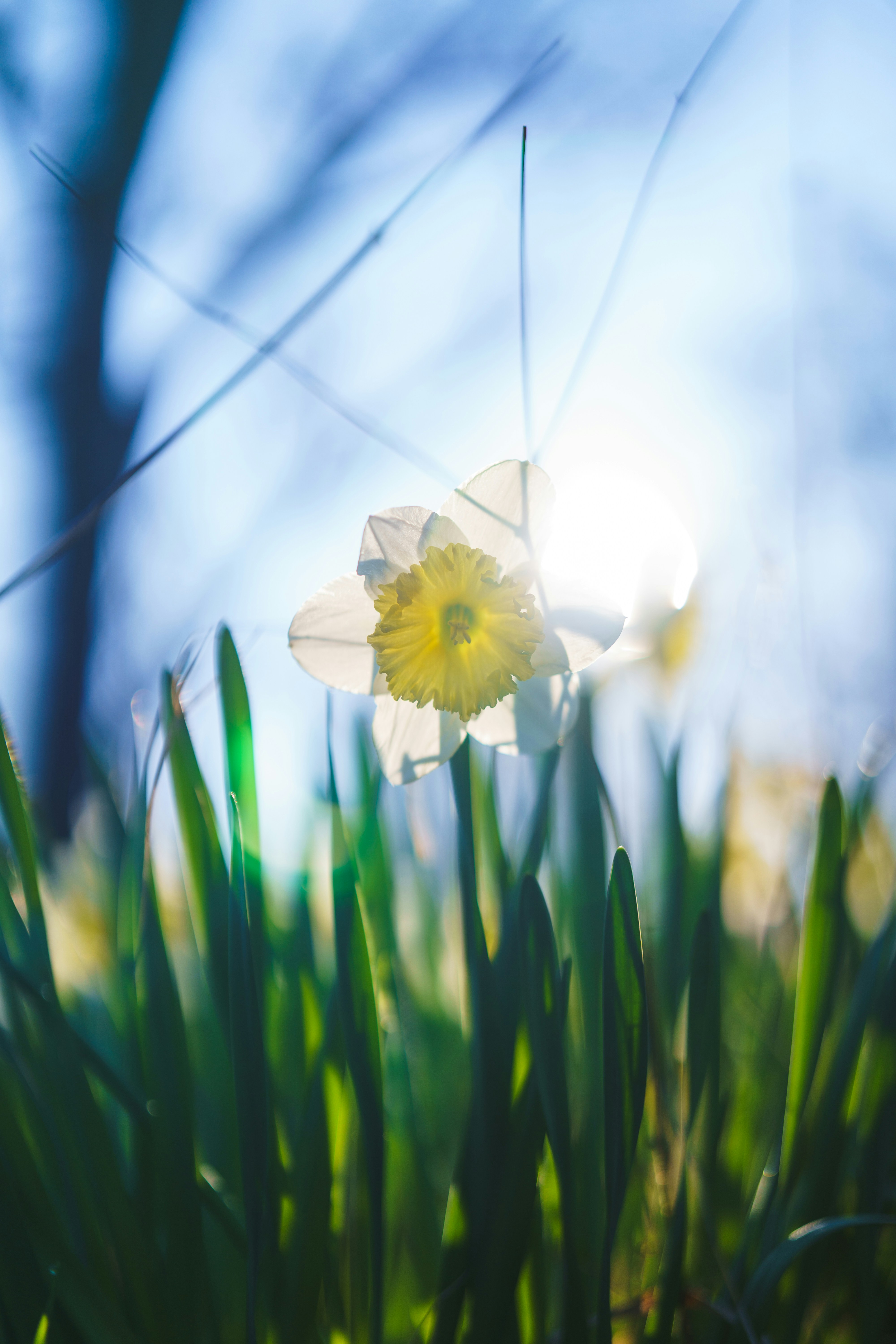 Photo by bangscreative