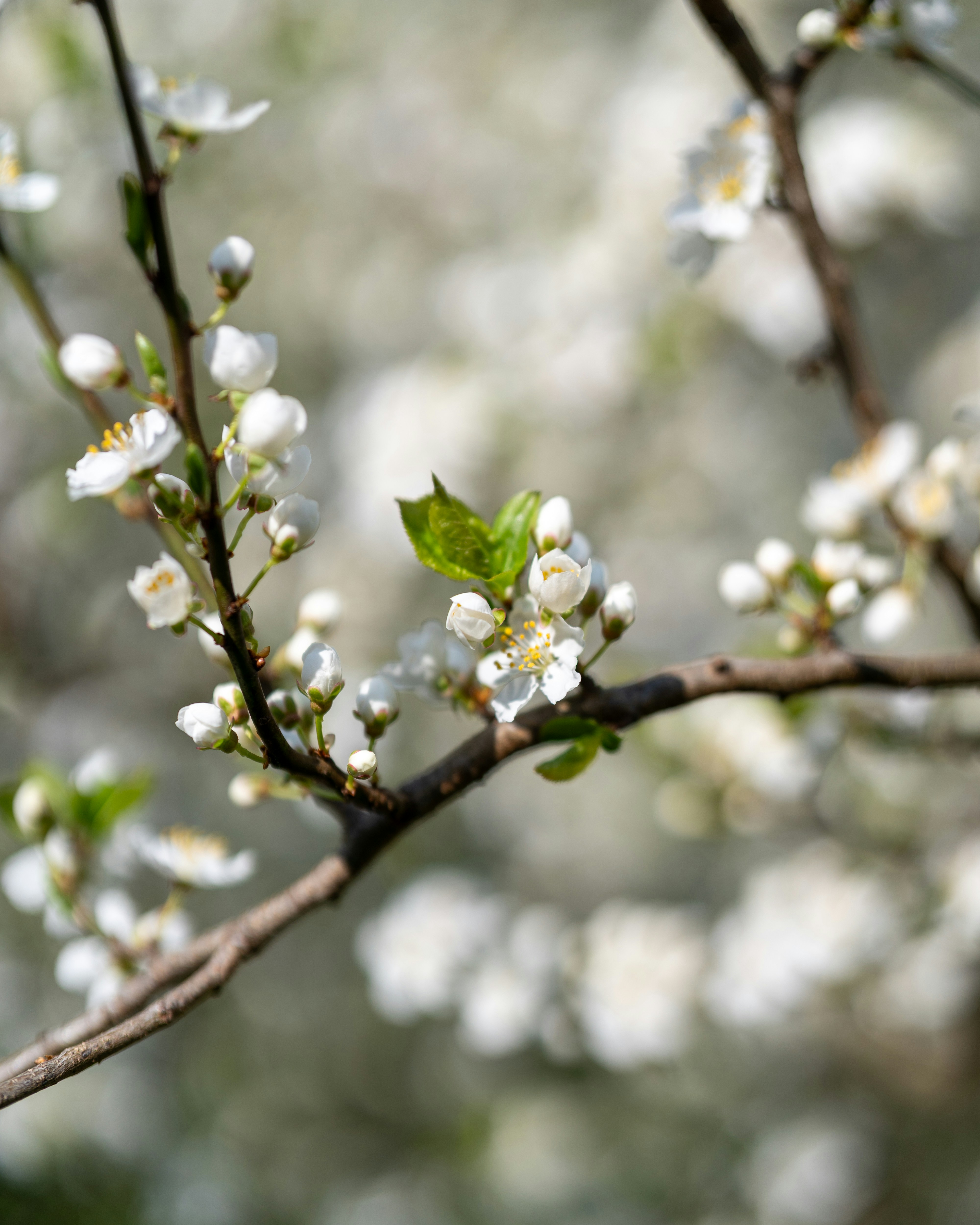 Photo by bangscreative