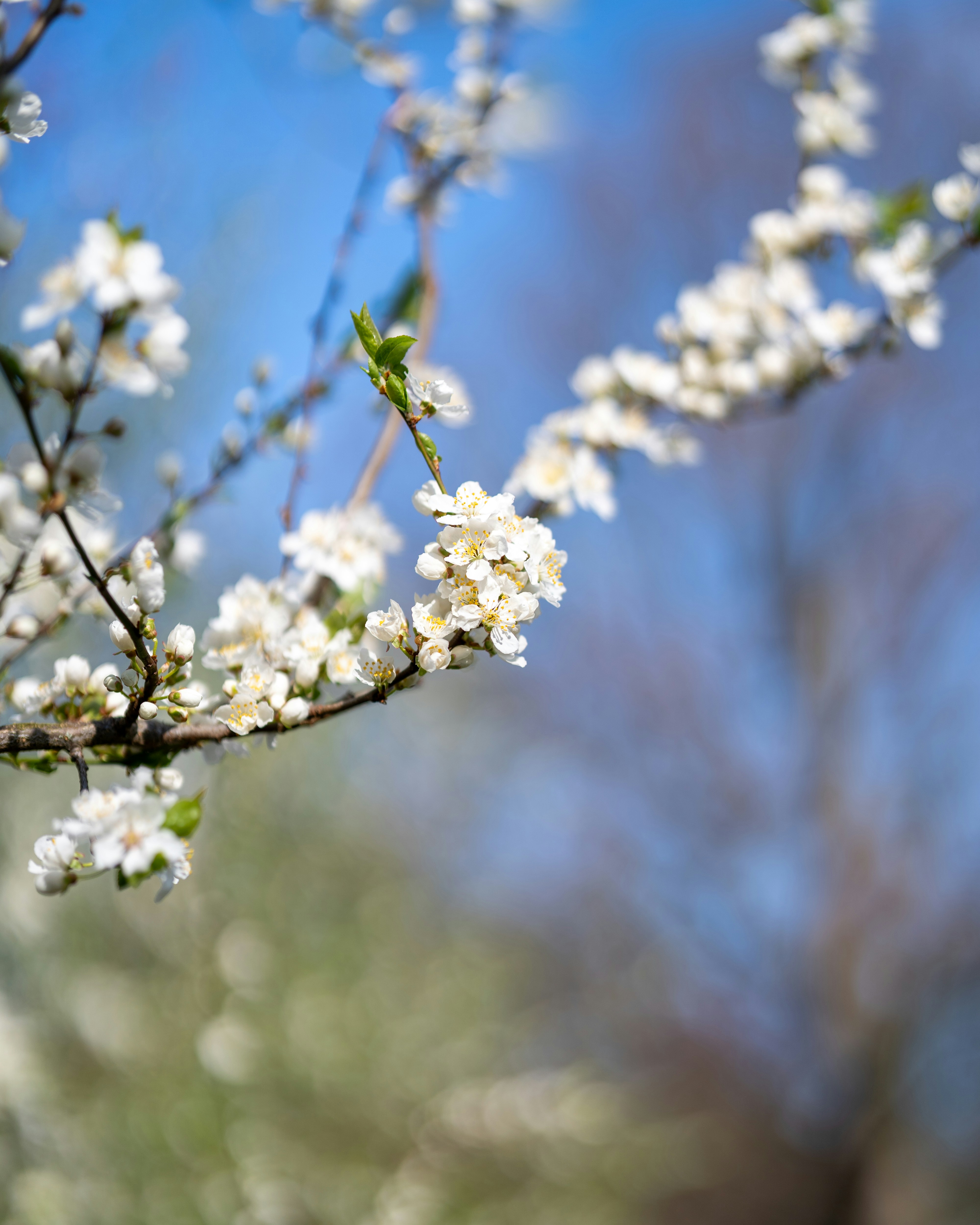 Photo by bangscreative