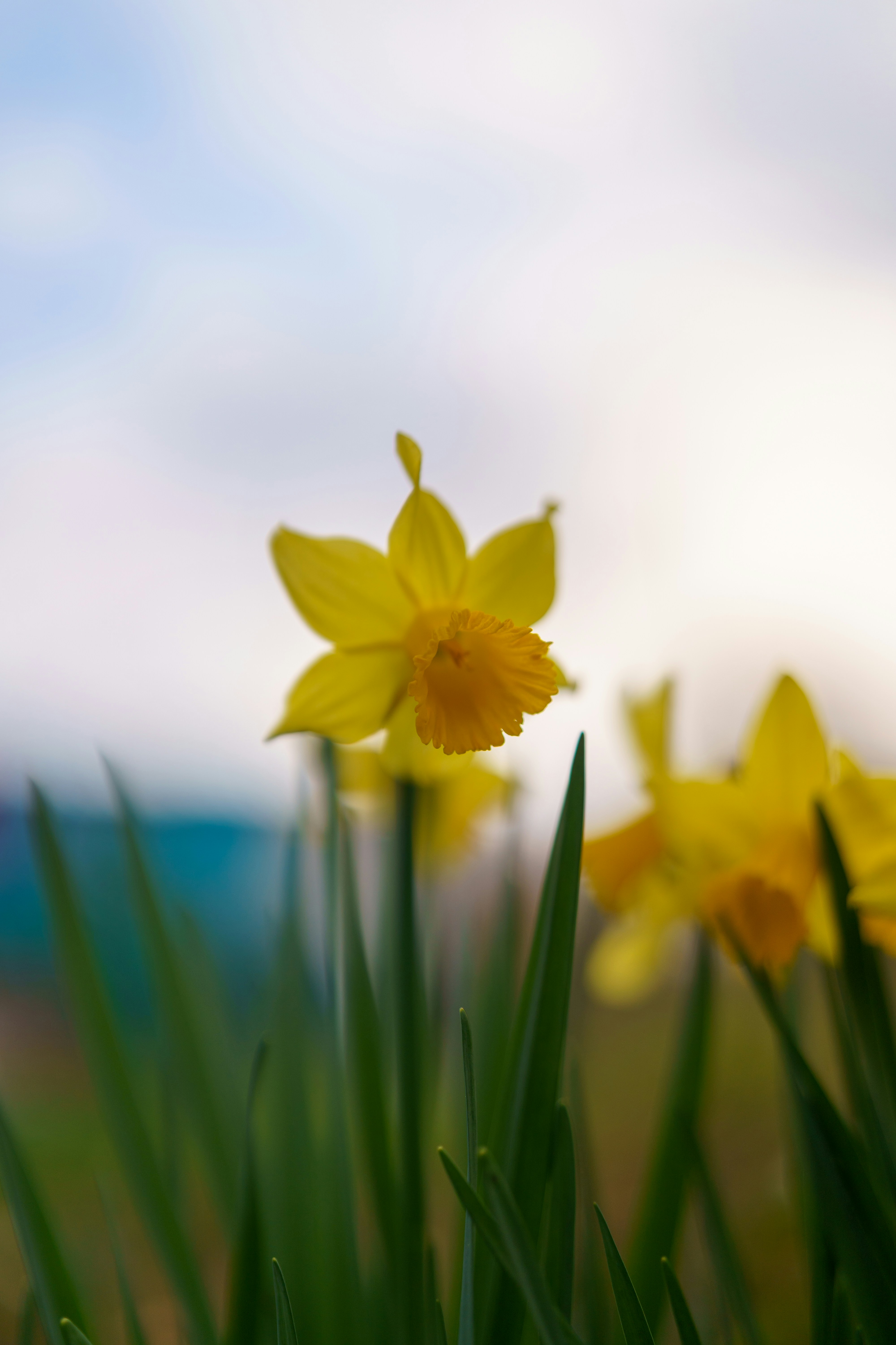 Photo by bangscreative