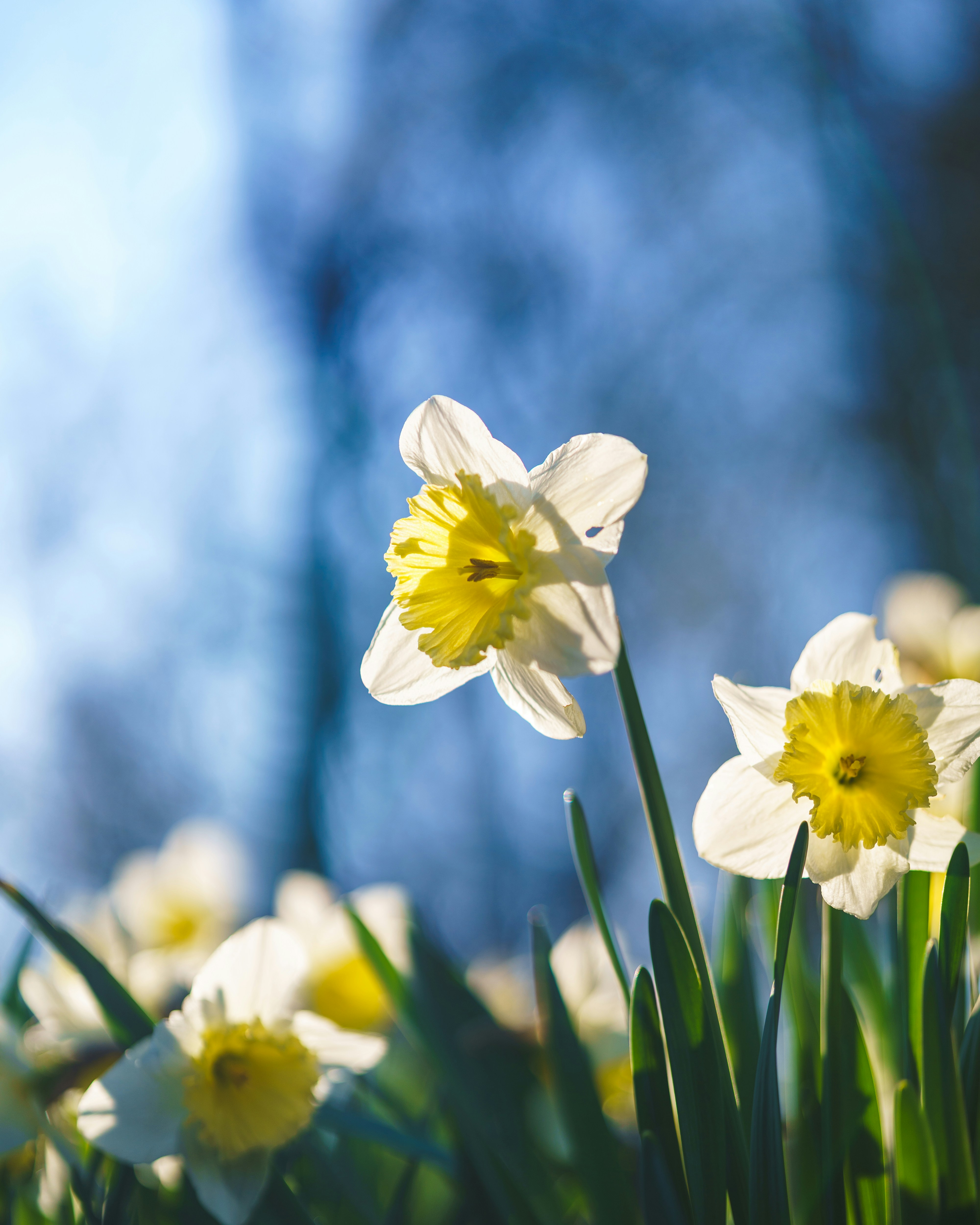 Photo by bangscreative