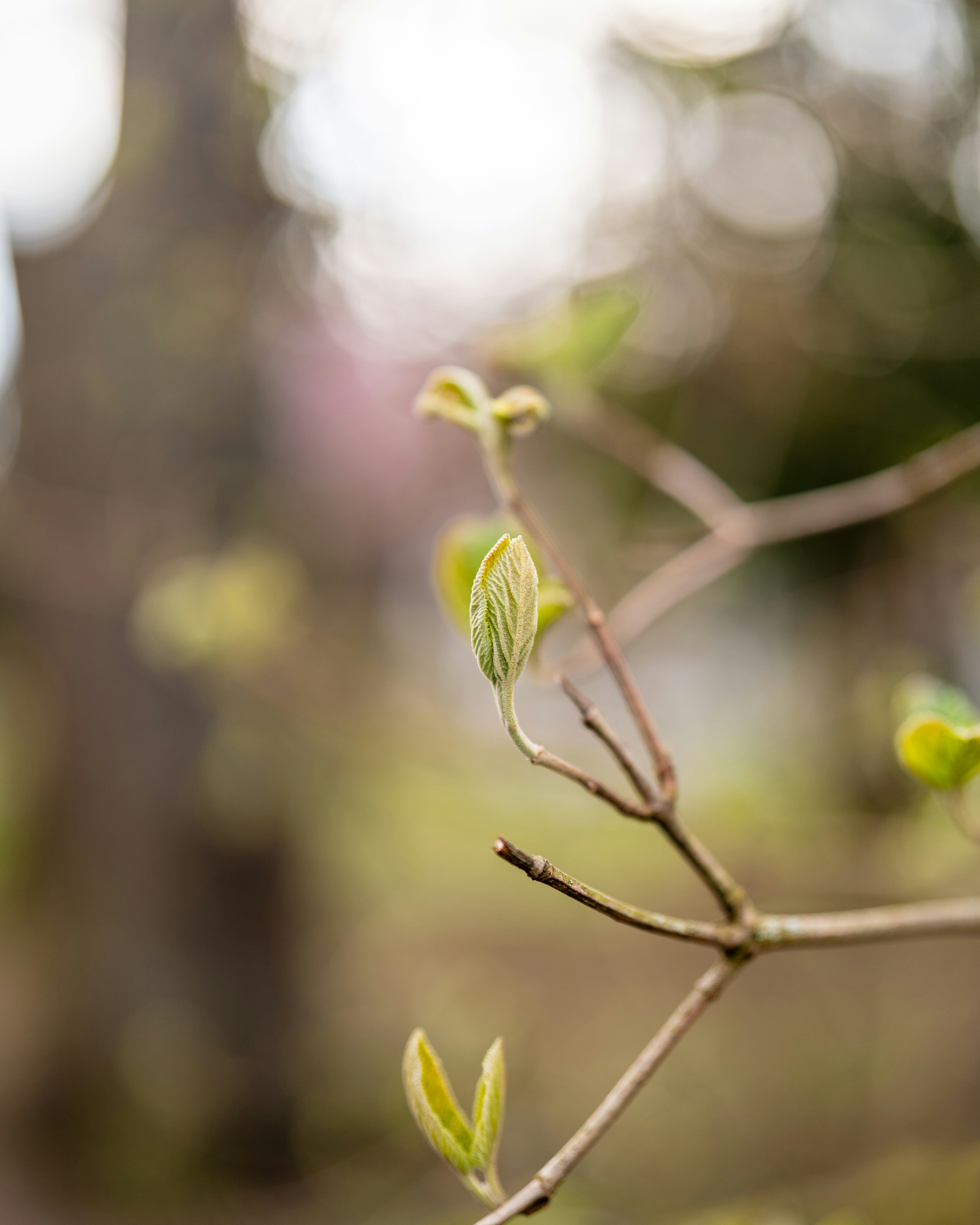 Photo by bangscreative