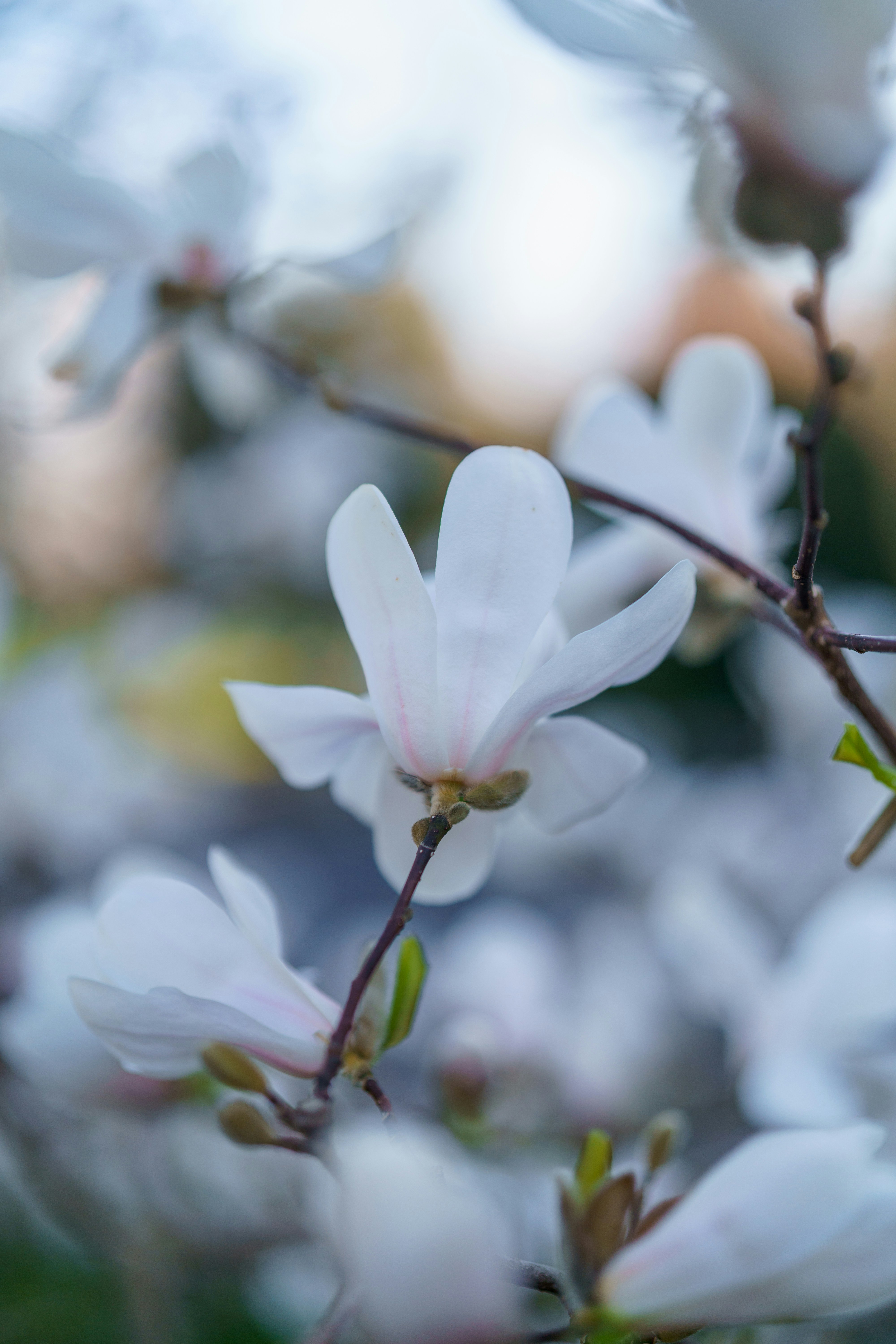 Photo by bangscreative