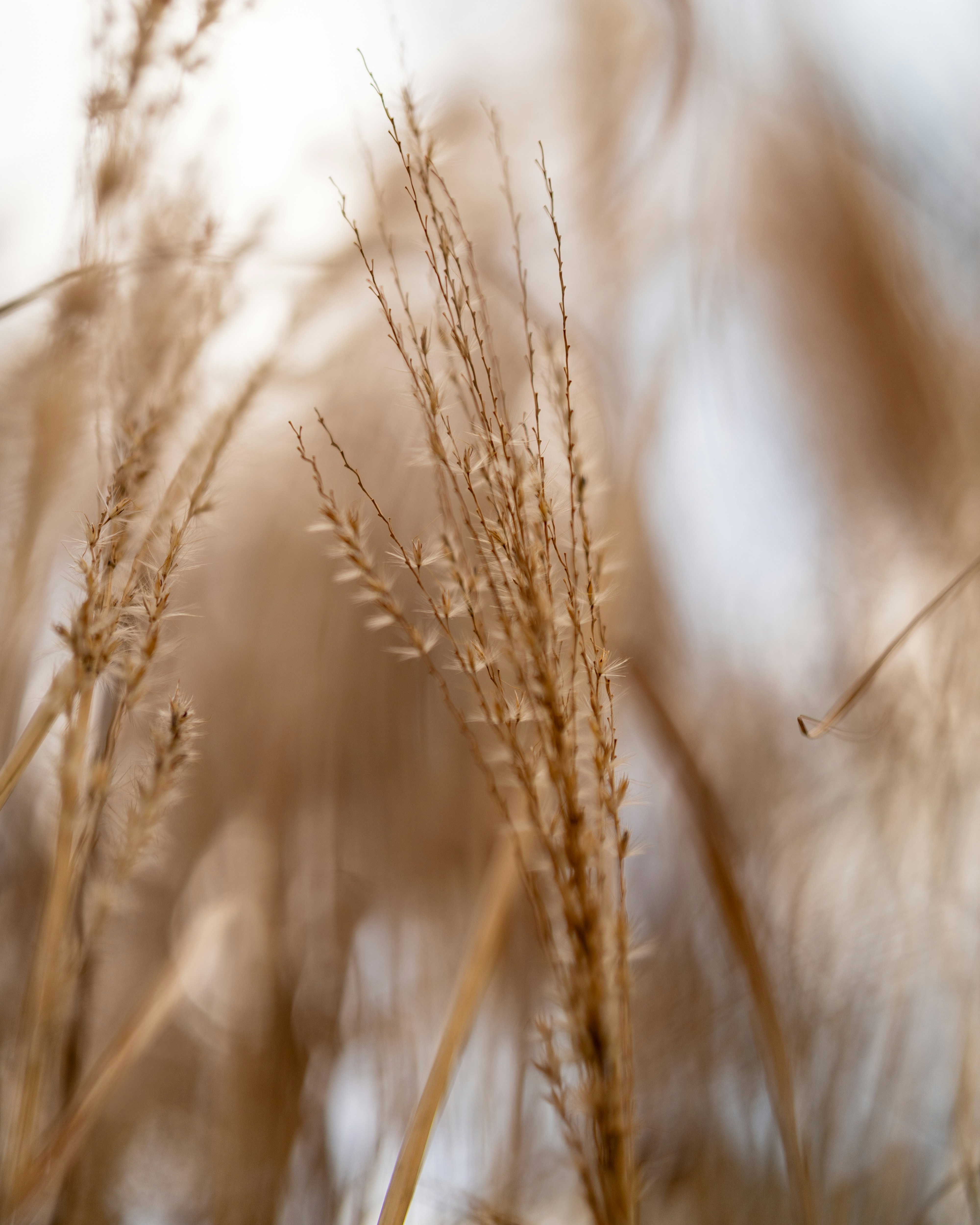 Photo by bangscreative