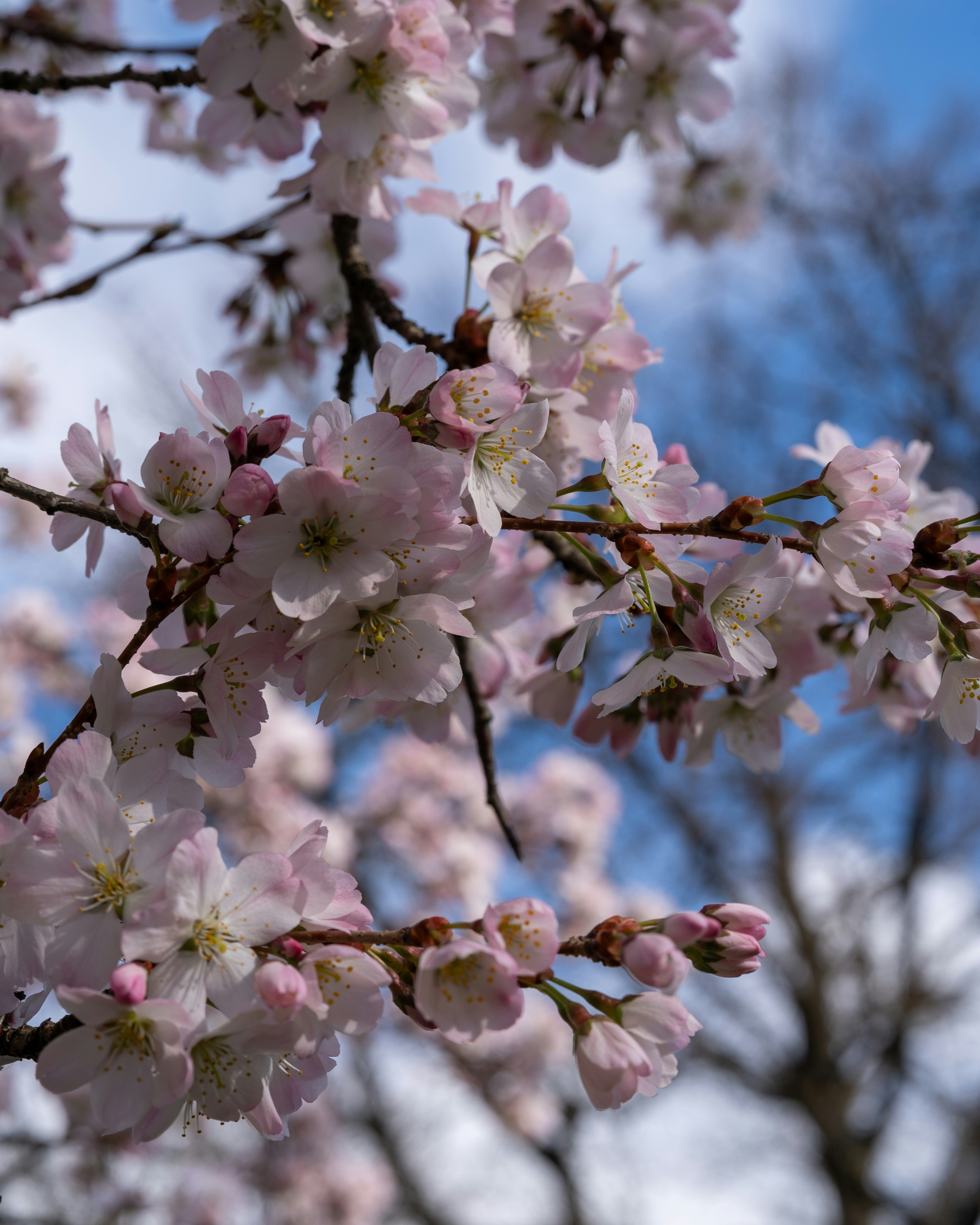 Photo by bangscreative