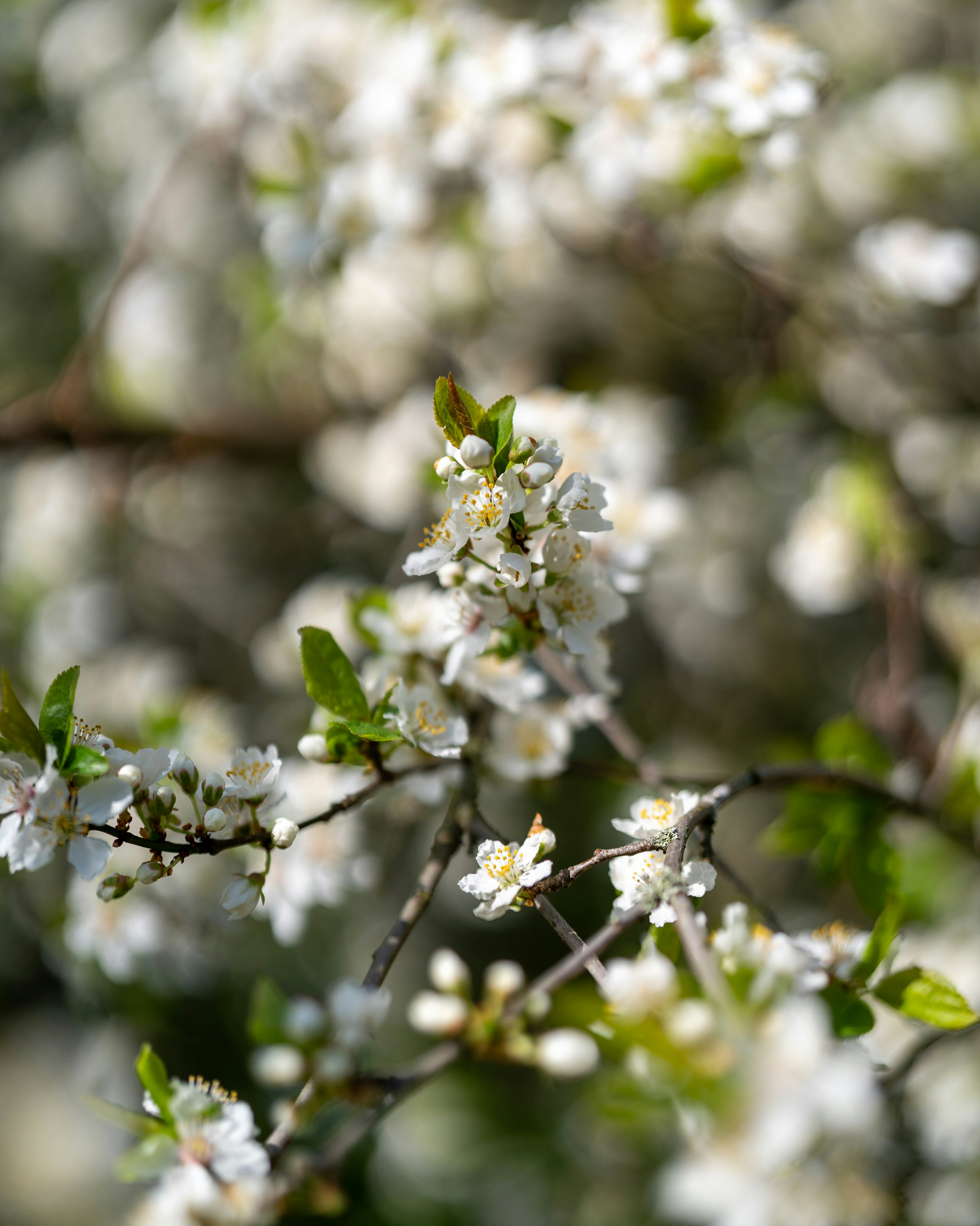 Photo by bangscreative