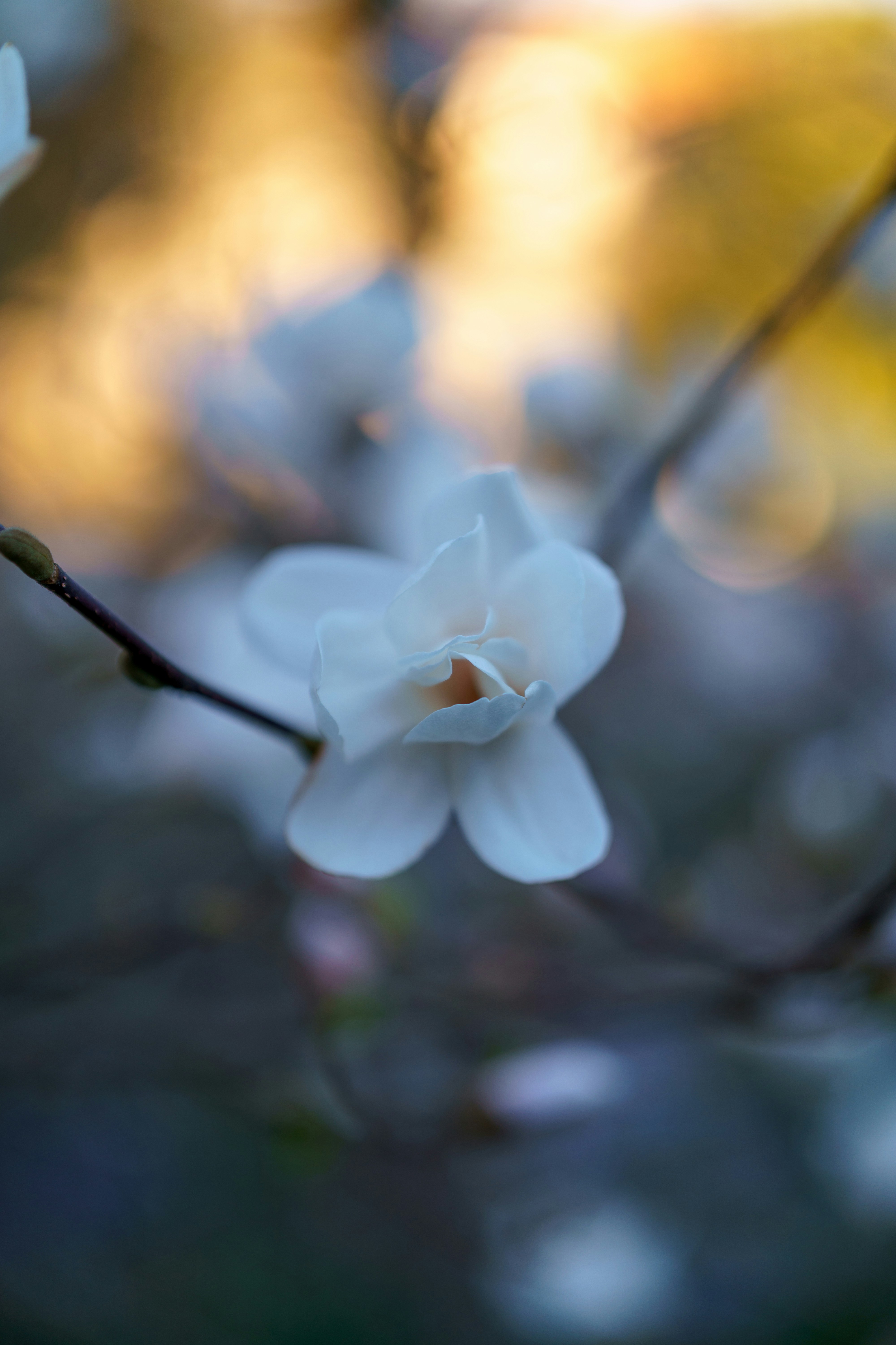 Photo by bangscreative