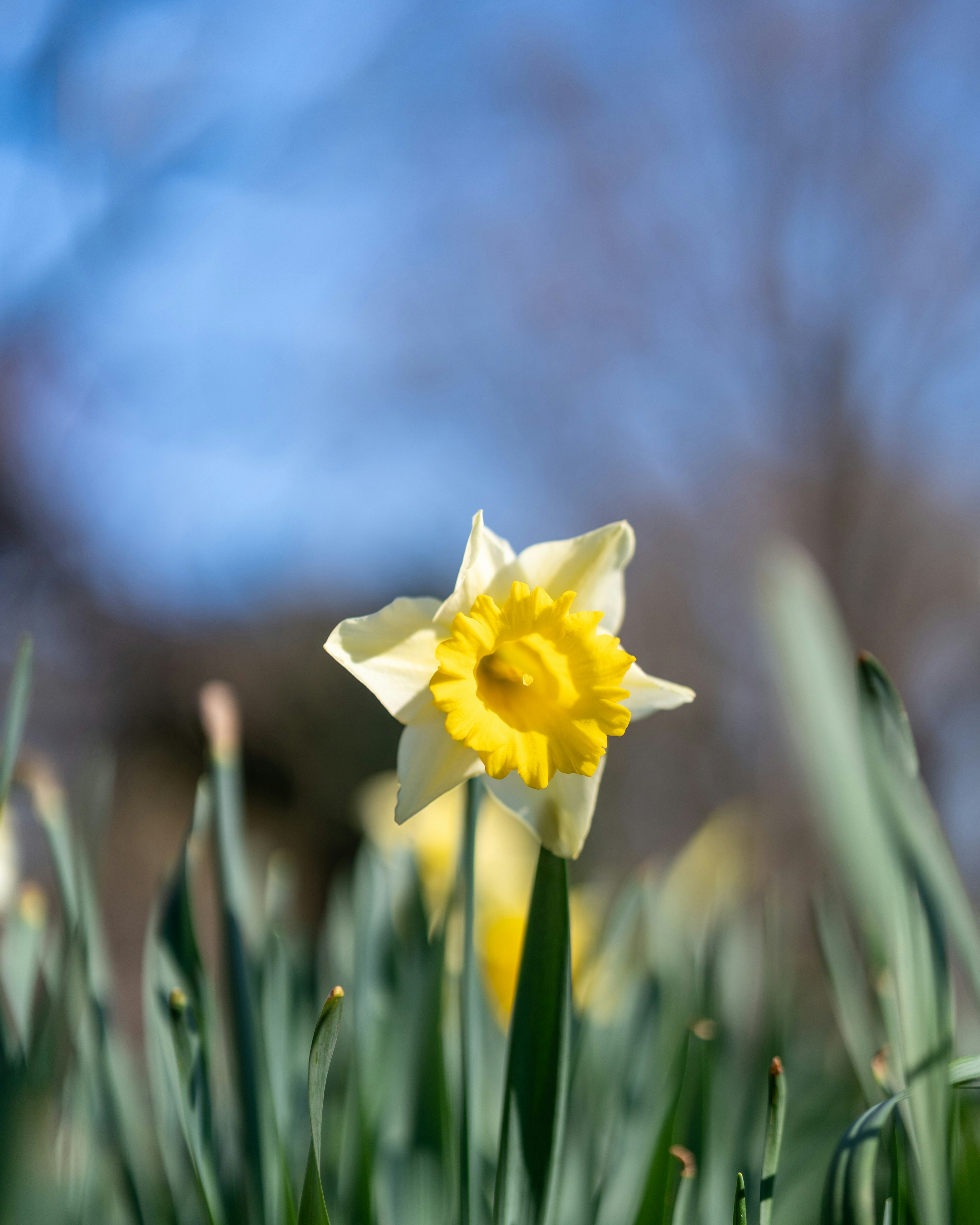 Photo by bangscreative